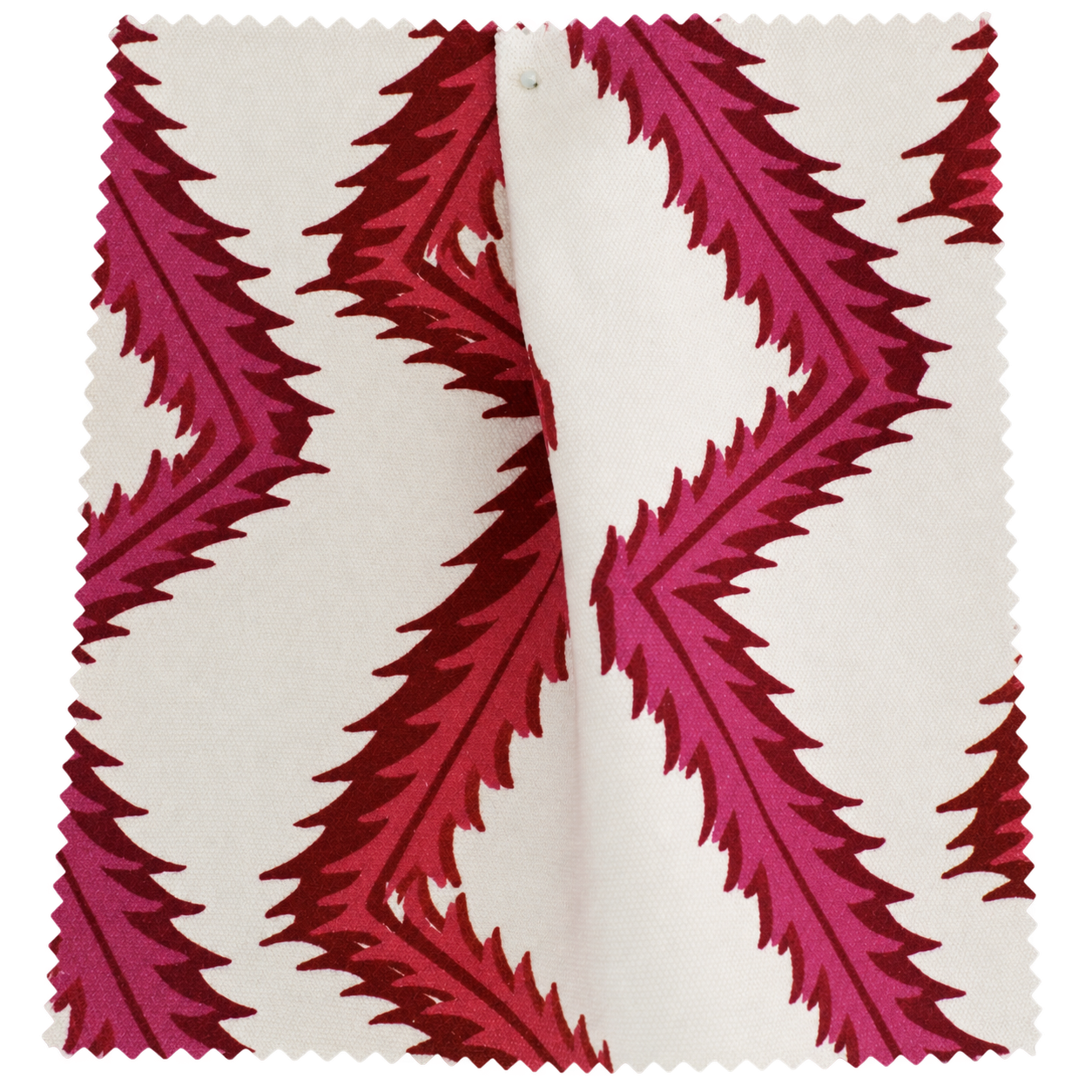 Zaggerty Pinks