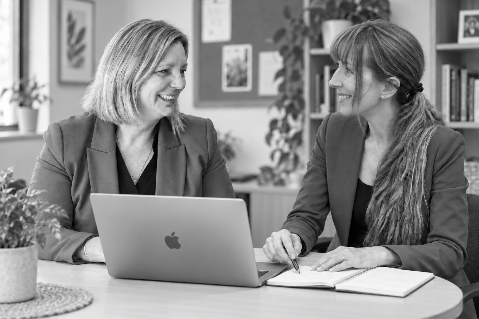Mentoring of an executive educational leader