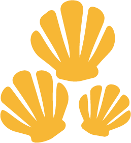 Three gold seashell illustrations against a black background.