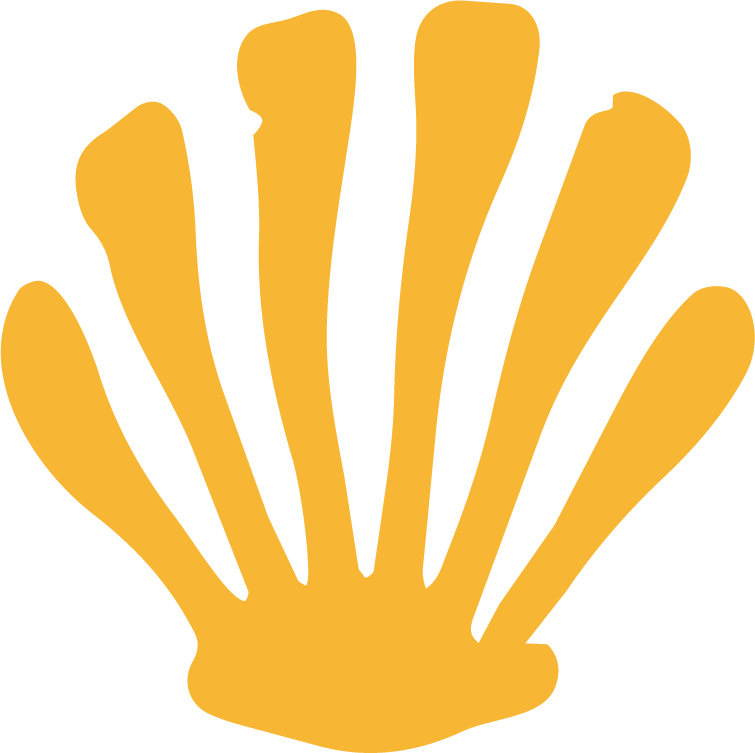 Golden shell icon with eight ridges on a black background.