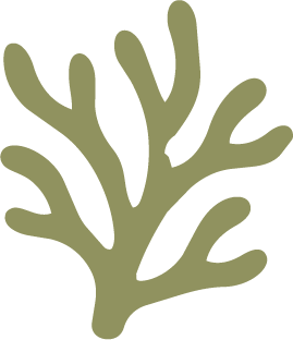 Stylized green coral illustration