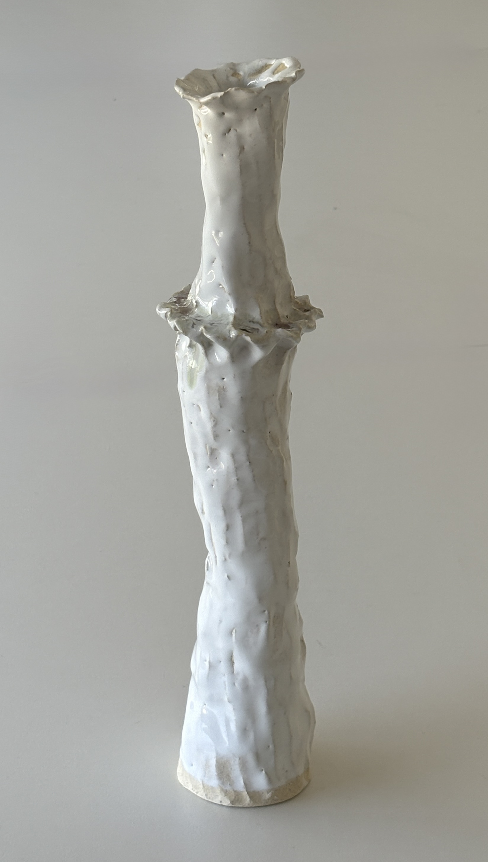 A tall piece of driftwood or tree branch covered with white paint or plaster, standing upright on a plain surface with a neutral background.
