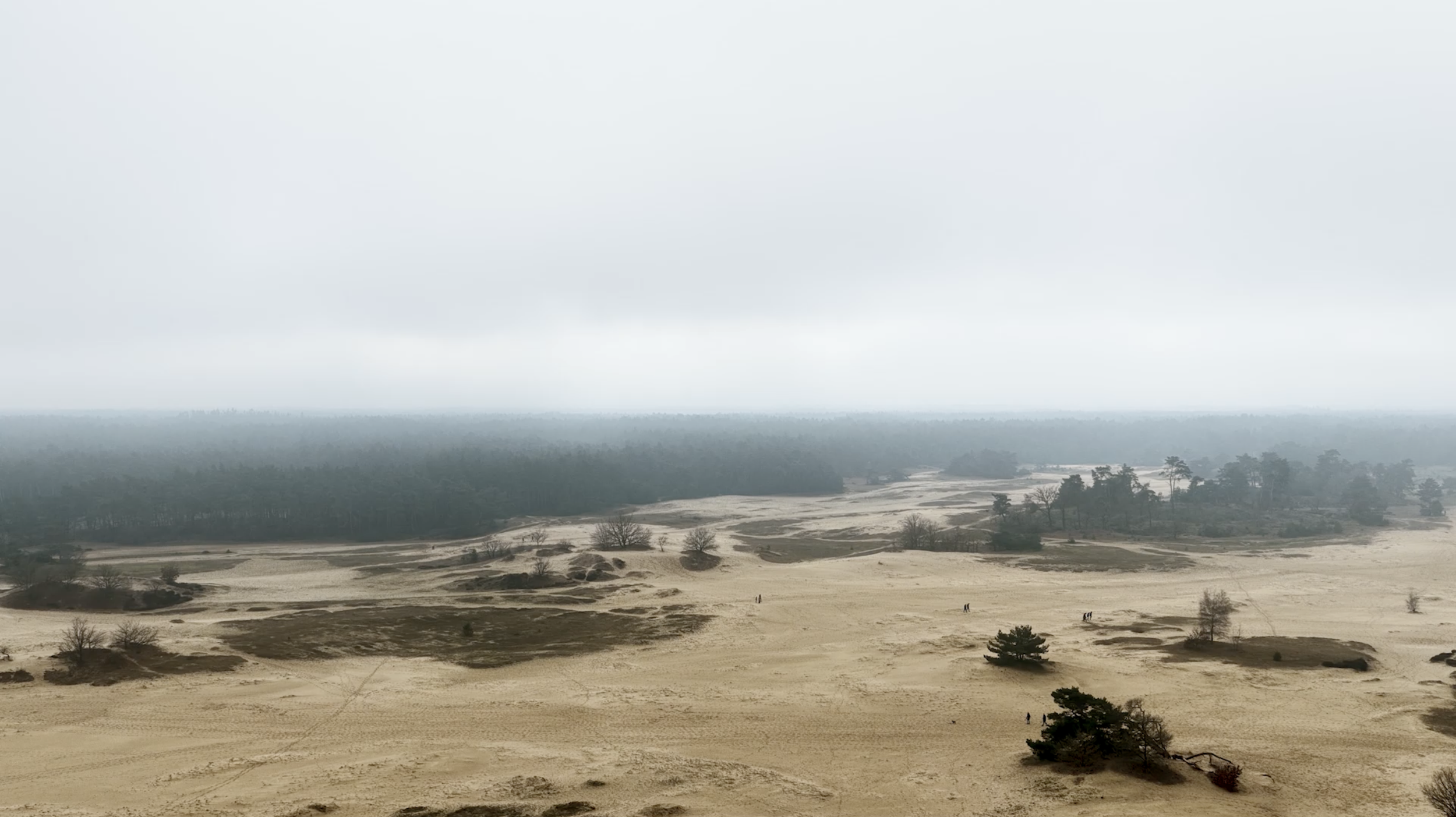 Uitgestrekt landschap met heuvels en sparse bomen, mistige horizon onder een bewolkte hemel.