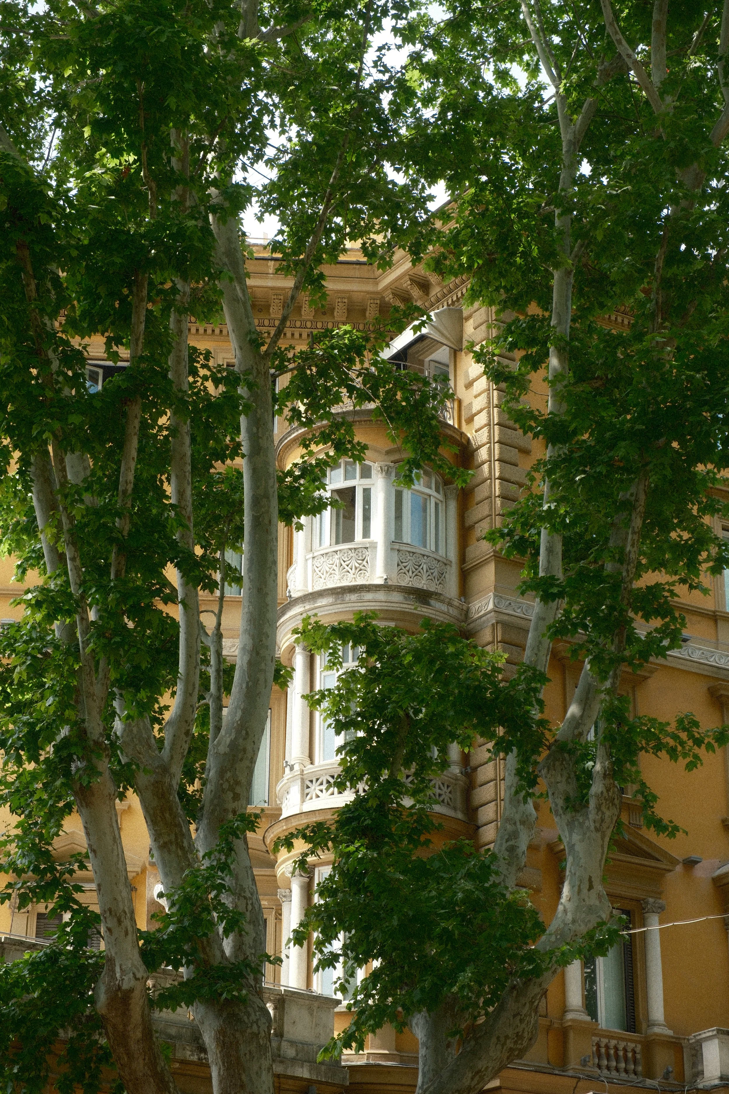Een zeer oude, geelgekleurde gebouw met balkon is deels bedekt door grote groene bomen.
