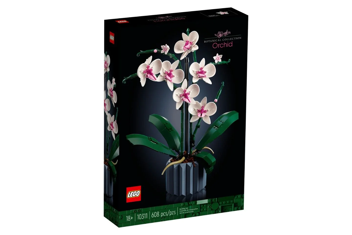 Decoding the Box: How to Read a LEGO Set Like a Pro