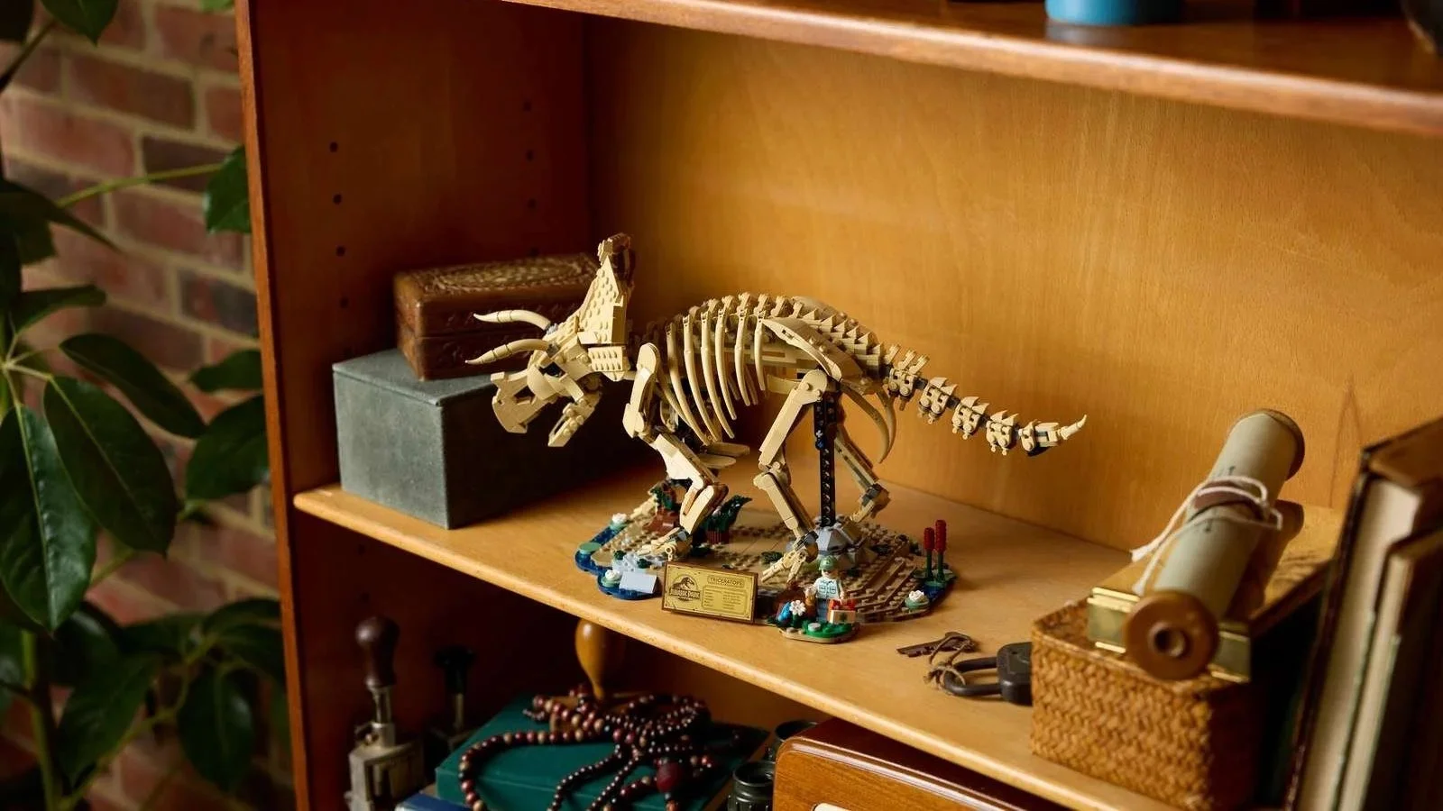 LEGO Dinosaur Fossils Triceratops skeleton on a bookshelf, with a museum nameplate and a paleontologist minifigure at its base