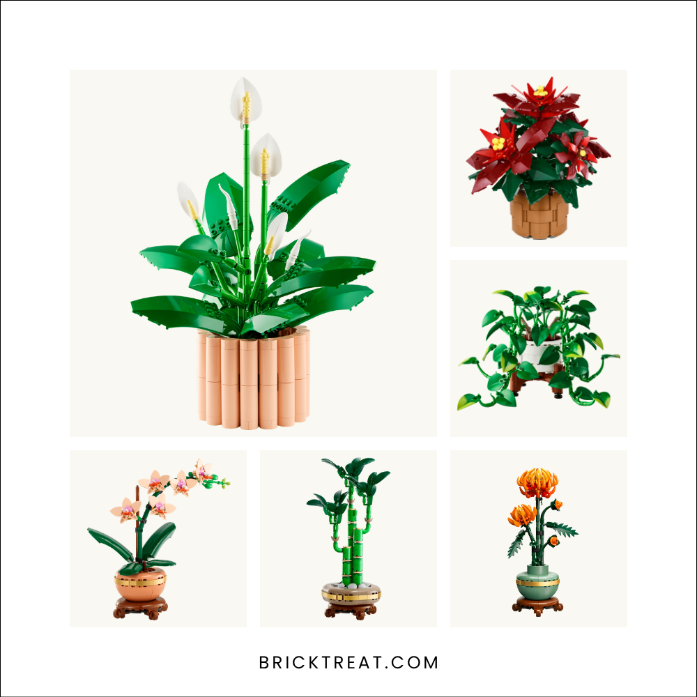 Product shots of six LEGO plant and flower sets in one picture: Peace Lily, Poinsettia, Hanging Golden Pothos, Mini Orchid, Lucky Bamboo, and Chrysanthemum