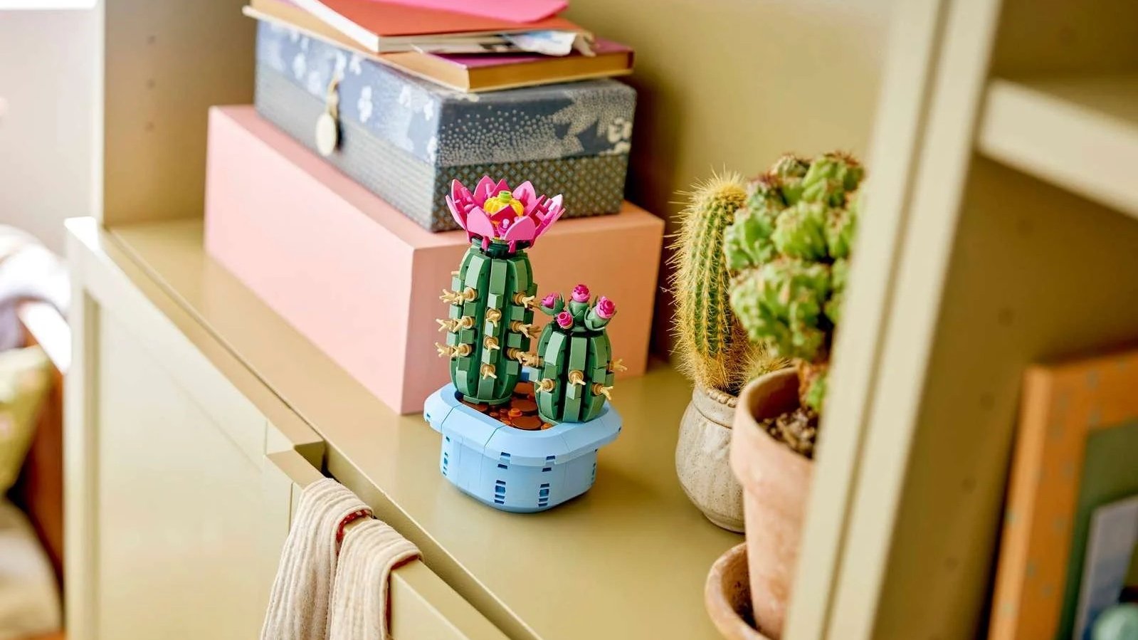 LEGO Flowering Cactus set with a pink bloom on a shelf beside real potted cacti