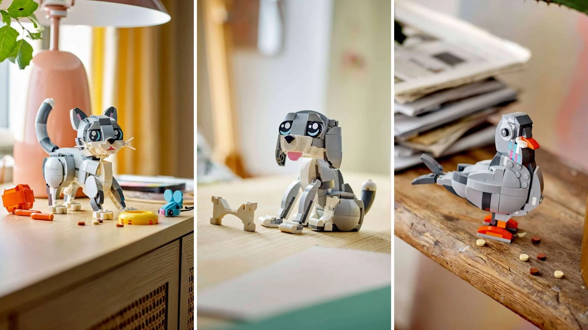 LEGO Playful Cat set built three ways: a gray and white cat beside toy accessories, a gray and white puppy sitting with a bone toy, and a gray pigeon standing on a ledge