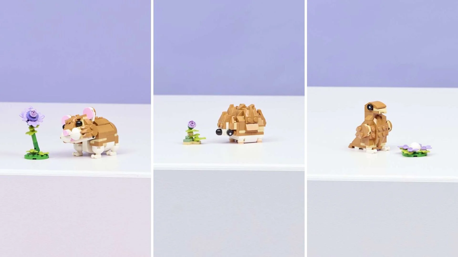 Three builds from the LEGO hamster set: a hamster, a hedgehog and a bird, each beside a small flower