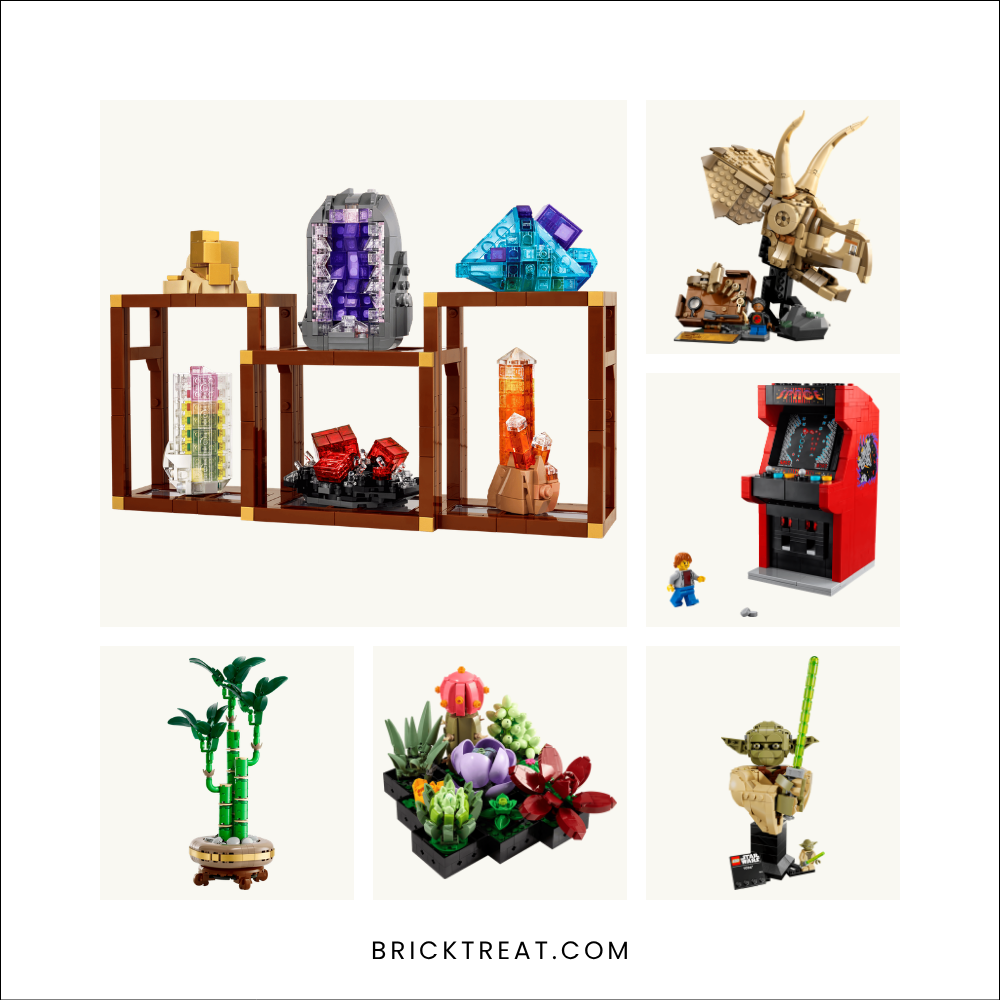 Six LEGO sets for grandpa side by side: Mineral Collection, Triceratops skull, Arcade Machine, Lucky Bamboo, Succulents and Yoda bust