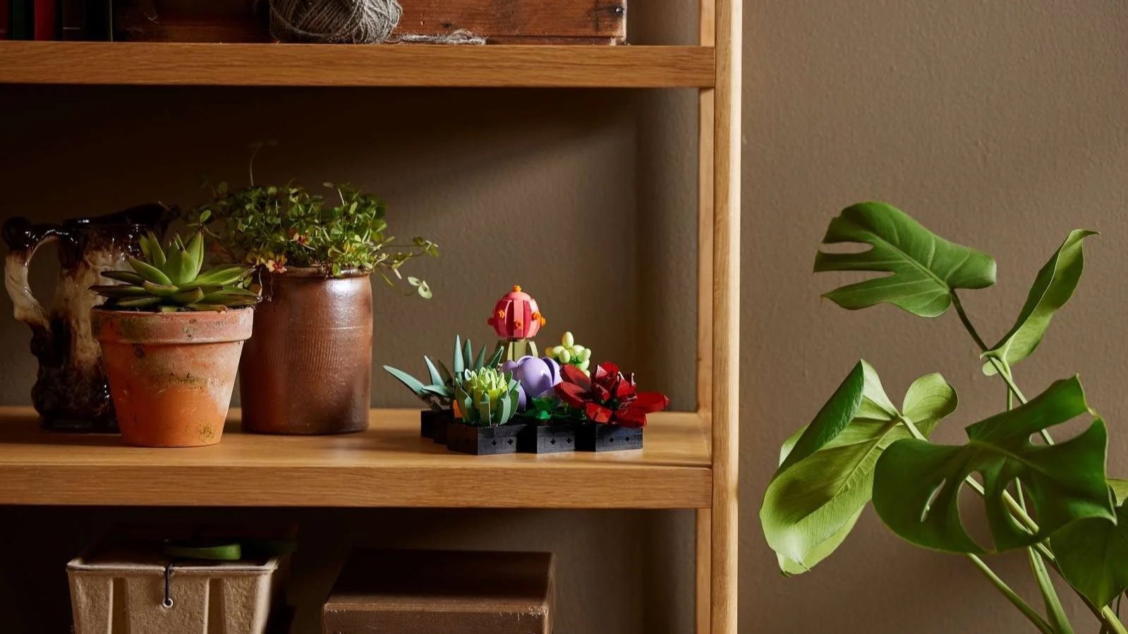 LEGO Succulents set arranged on a wooden shelf among real potted plants and a monstera