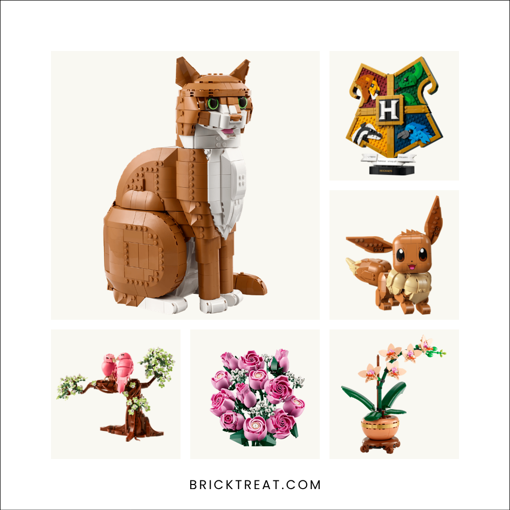 Six LEGO sets shown together: Orange Cat, Hogwarts House Crest, Eevee, Love Birds, Bouquet of Pink Roses and Mini Orchid