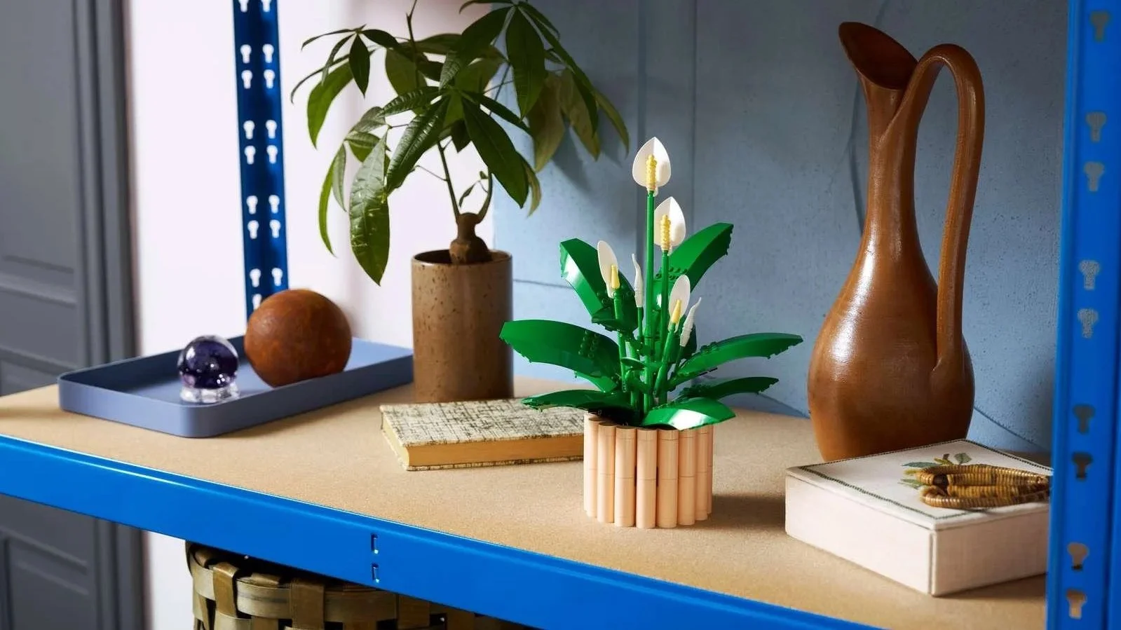 LEGO Peace Lily set with white flowers on a blue shelf next to a real money tree plant