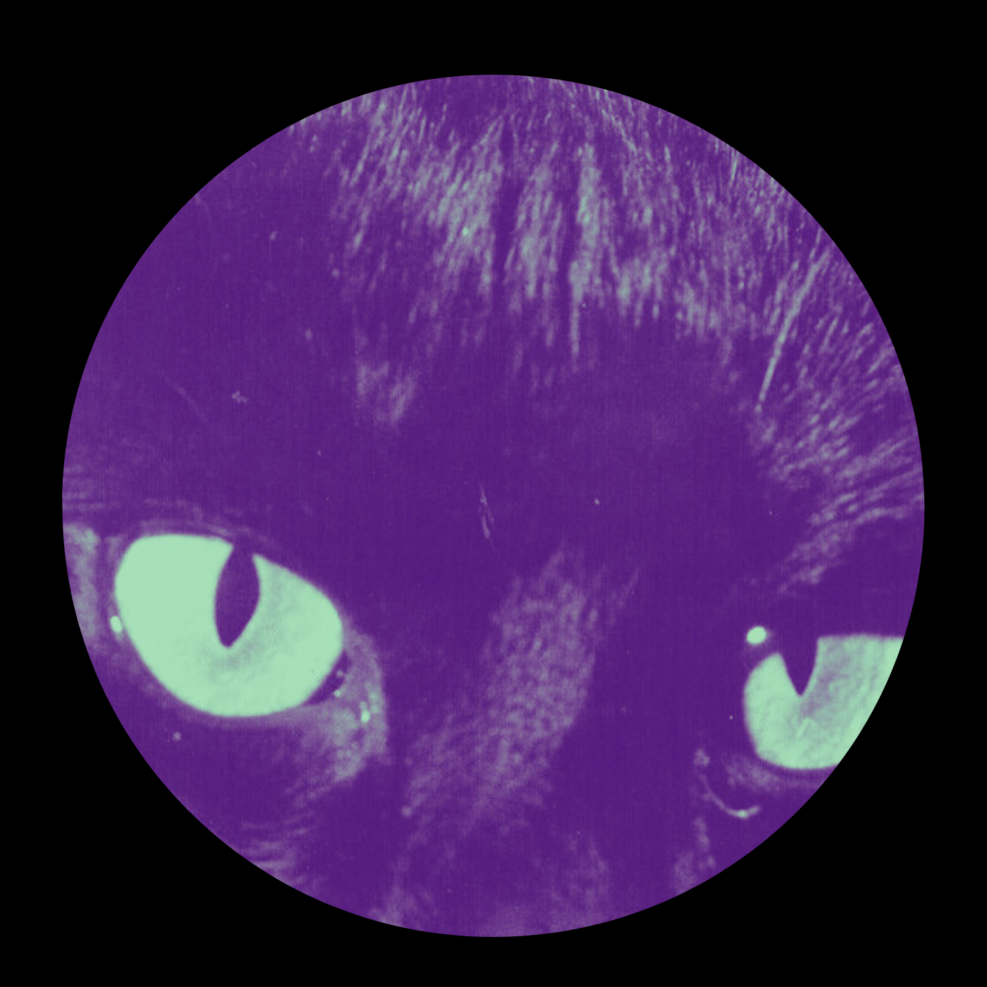 Doctor's Cat - Feel The Drive (Raw-Artes Edit)