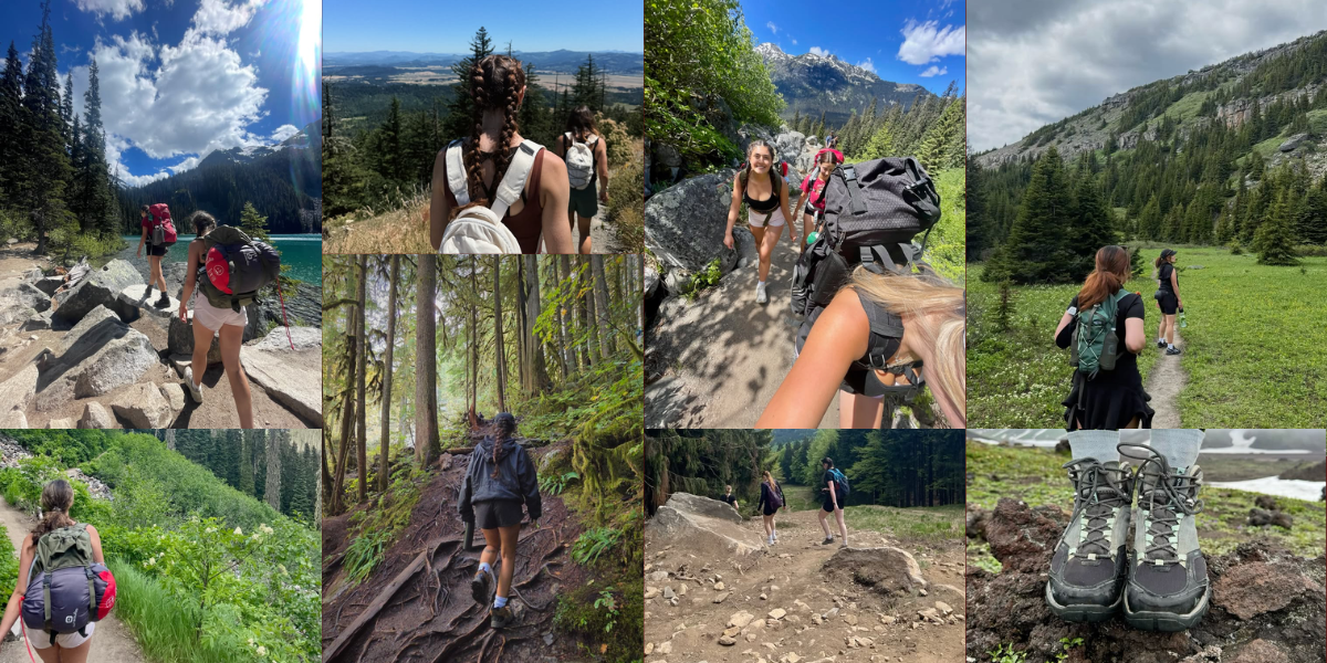 Hiking in summer with your friends, family or pets
