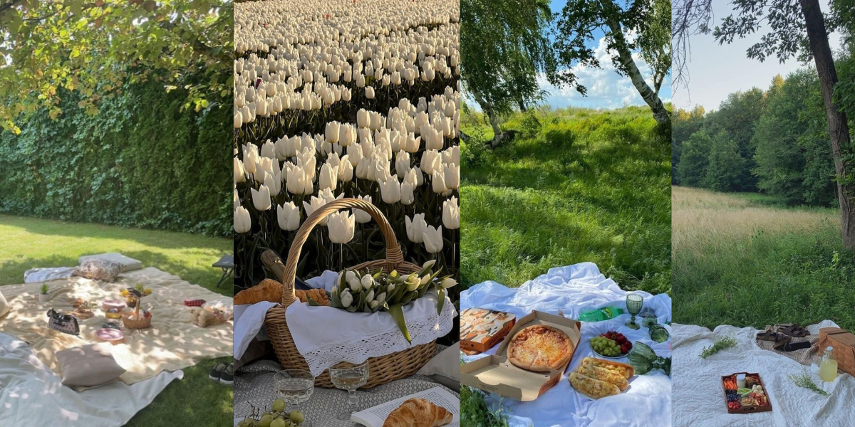 A picnic in summer you can do with your friends or alone to have a hot girl summer