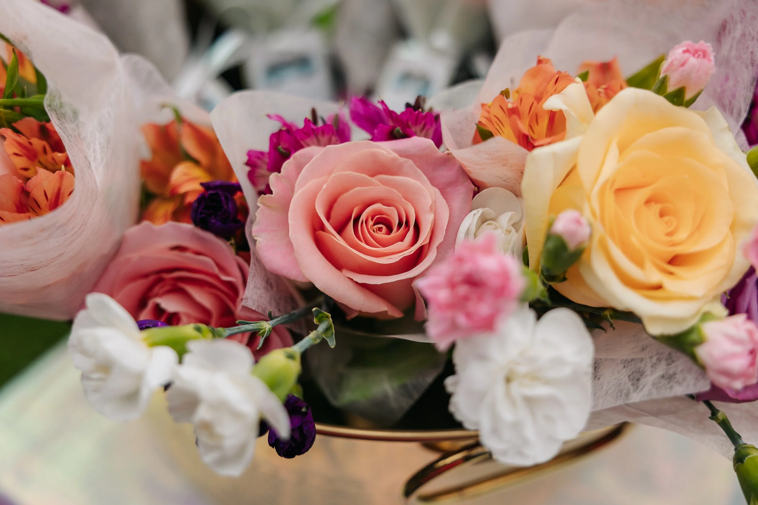Debs_day_4989.JPG