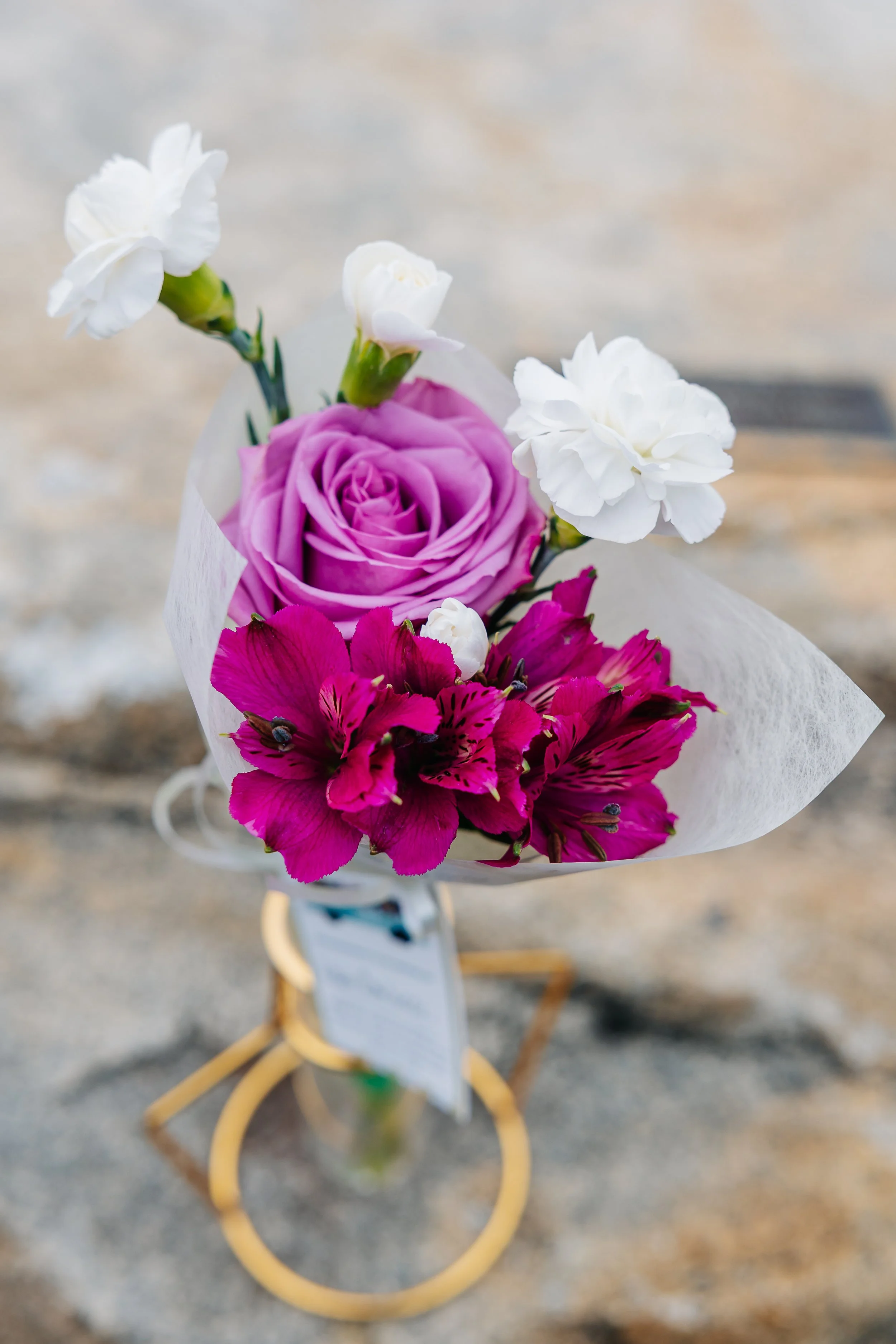 Debs_day_4895.JPG