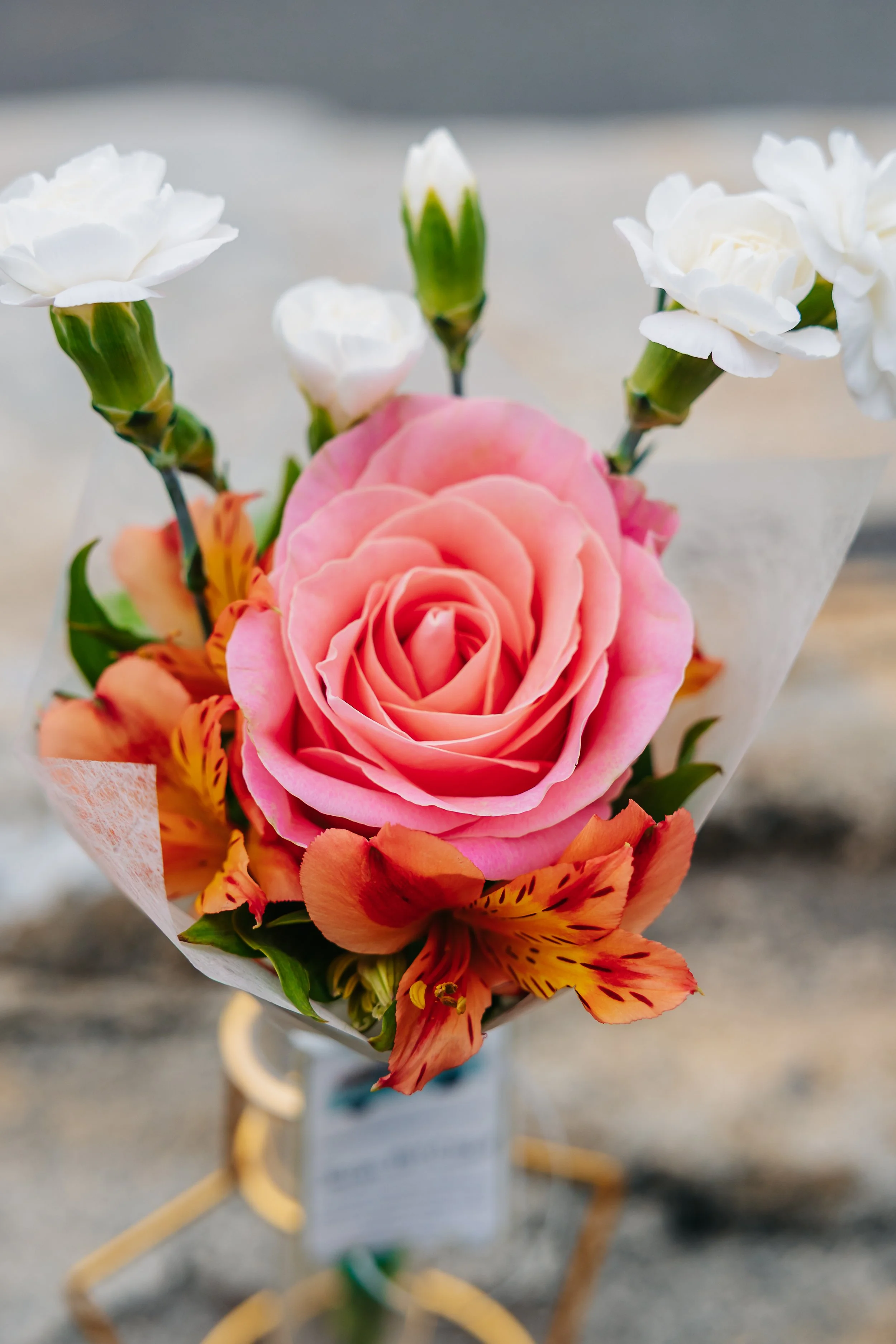Debs_day_4884.JPG