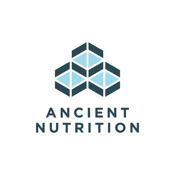 Logo for Ancient Nutrition featuring a geometric pyramid design with three rows of interconnected boxes in shades of blue, and the text 'Ancient Nutrition' below.