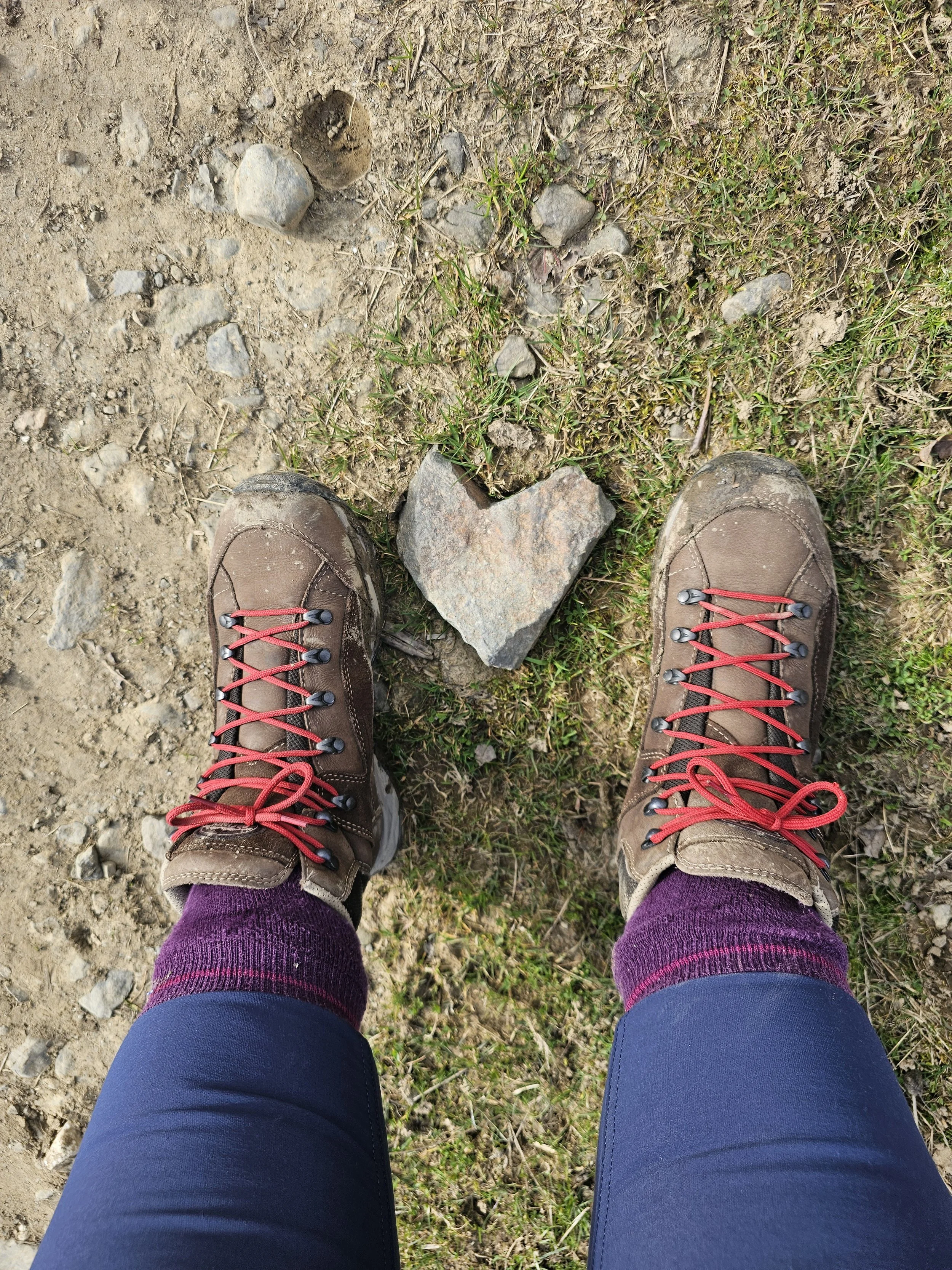 A person's legs wearing purple socks, dark blue leggings, and brown hiking boots with red laces, standing on a dirt trail with scattered rocks and patches of grass.