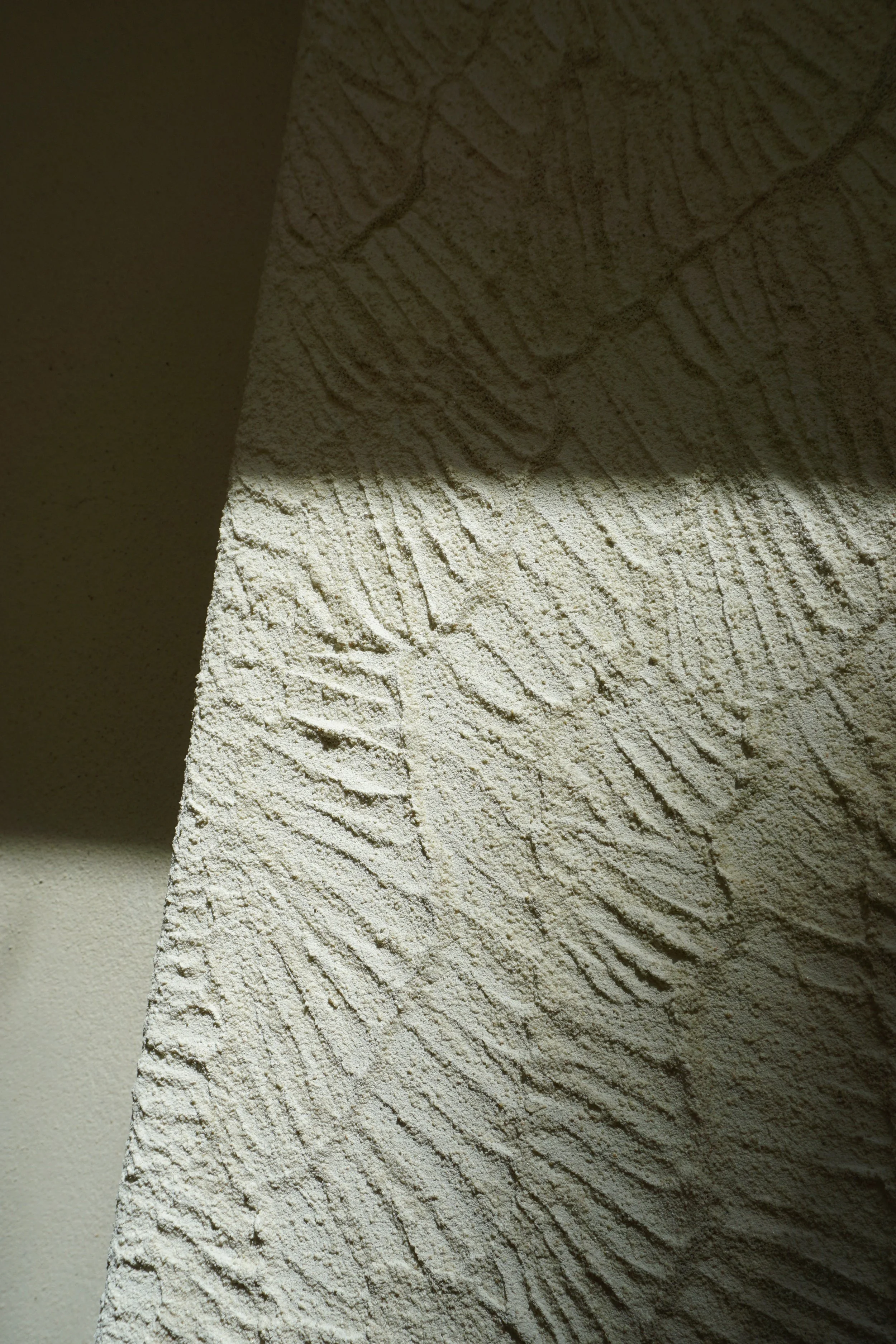 DSC02129.jpeg