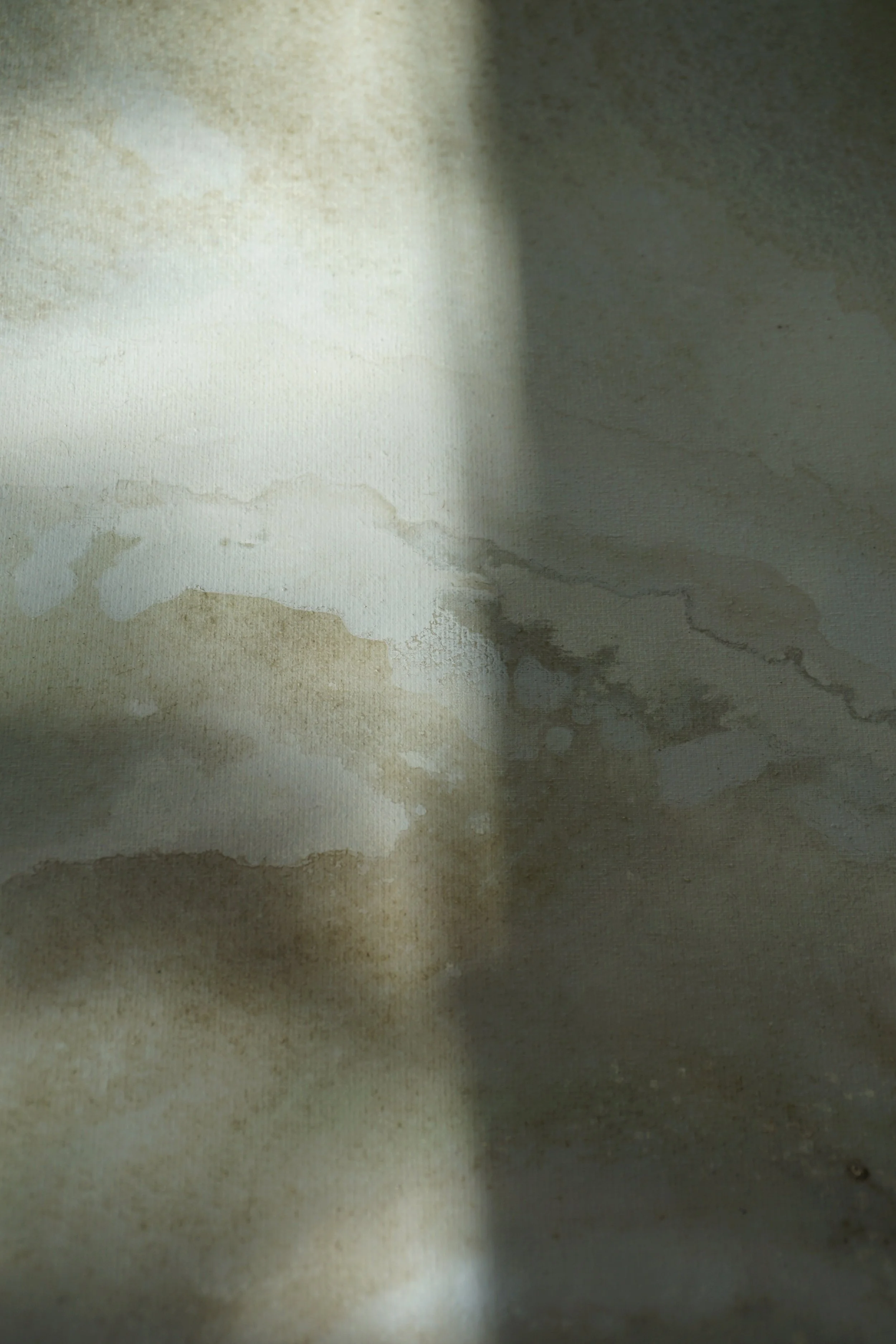 DSC06136.jpeg