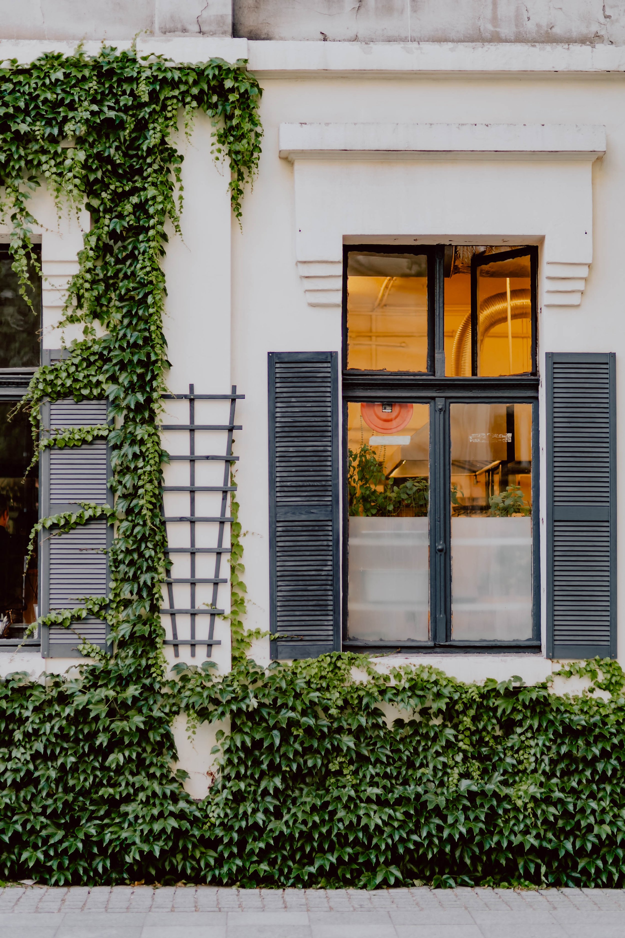 The Property Edit