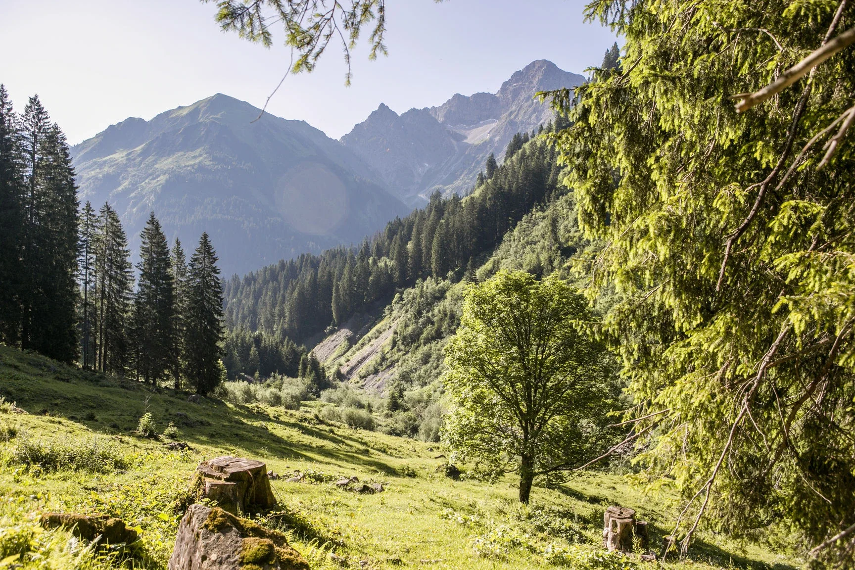 hochzeit_in_den_bergen_almhütte_2.webp