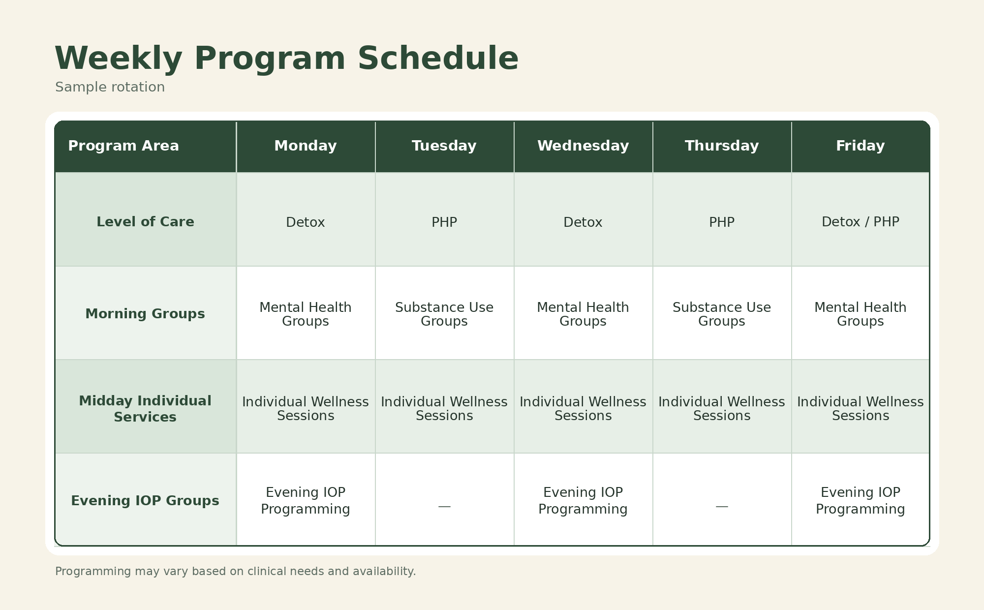 Sample weekly program schedule with rows for different service areas and columns for each weekday, listing activities like detox, PHP, mental health groups, substance use groups, individual wellness sessions, and evening IOP programming.