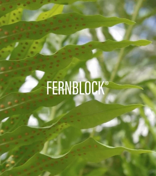 Close-up of green fern leaves with red spots, with text overlay saying 'FERNBLOCK'.