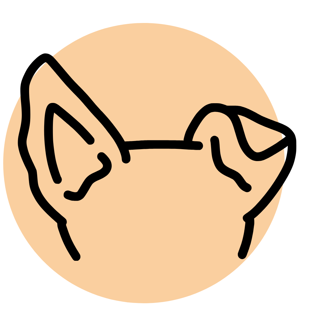 Eine stilisierte Illustration von zwei Hundeohren, ein Ohr ist nach vorne geklappt.