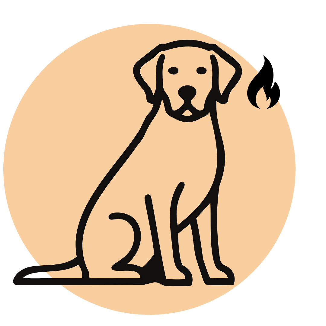 Ein schwarzes Tier-Pfoten-Abdruck-Symbol in einer Herzform platziert, auf beige Hintergrund.