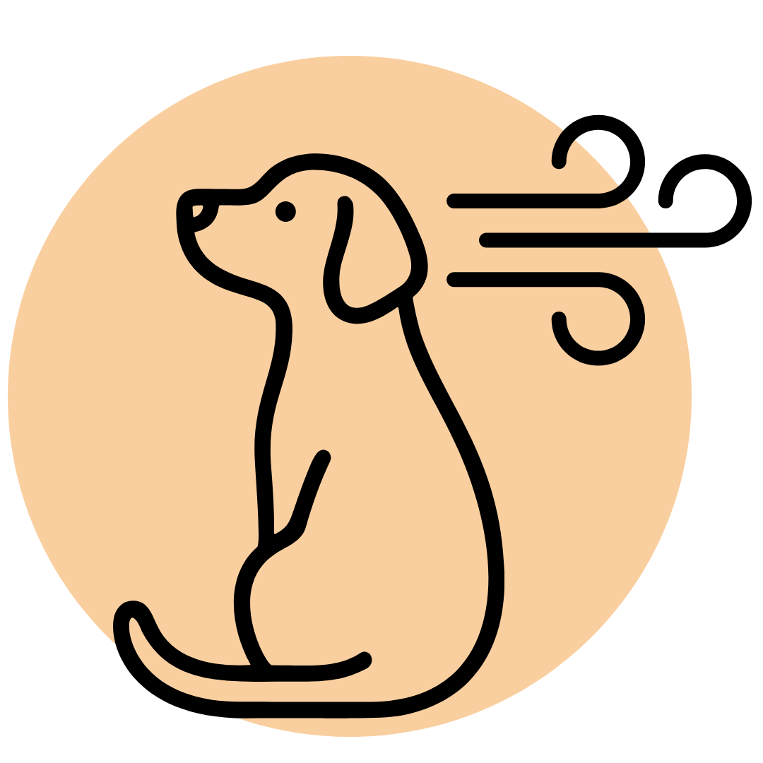 Linienzeichnung einem zu dünnen Hund vor einem hellen, kreisförmigen Hintergrund, mit einer Puste-Grafik daneben, weil der Hund so dünn ist.