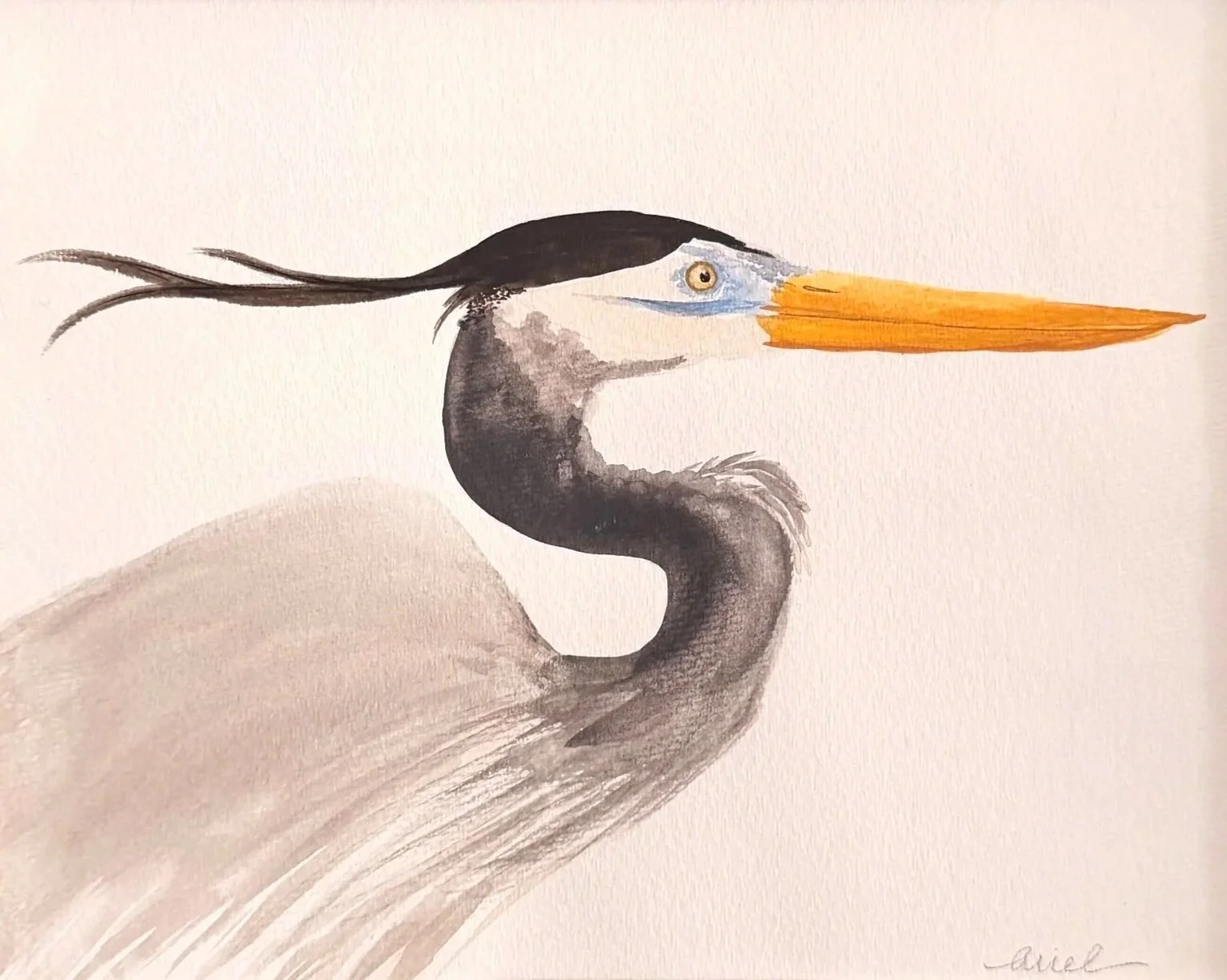 Heron%2BStudy%2BNo.I.jpg