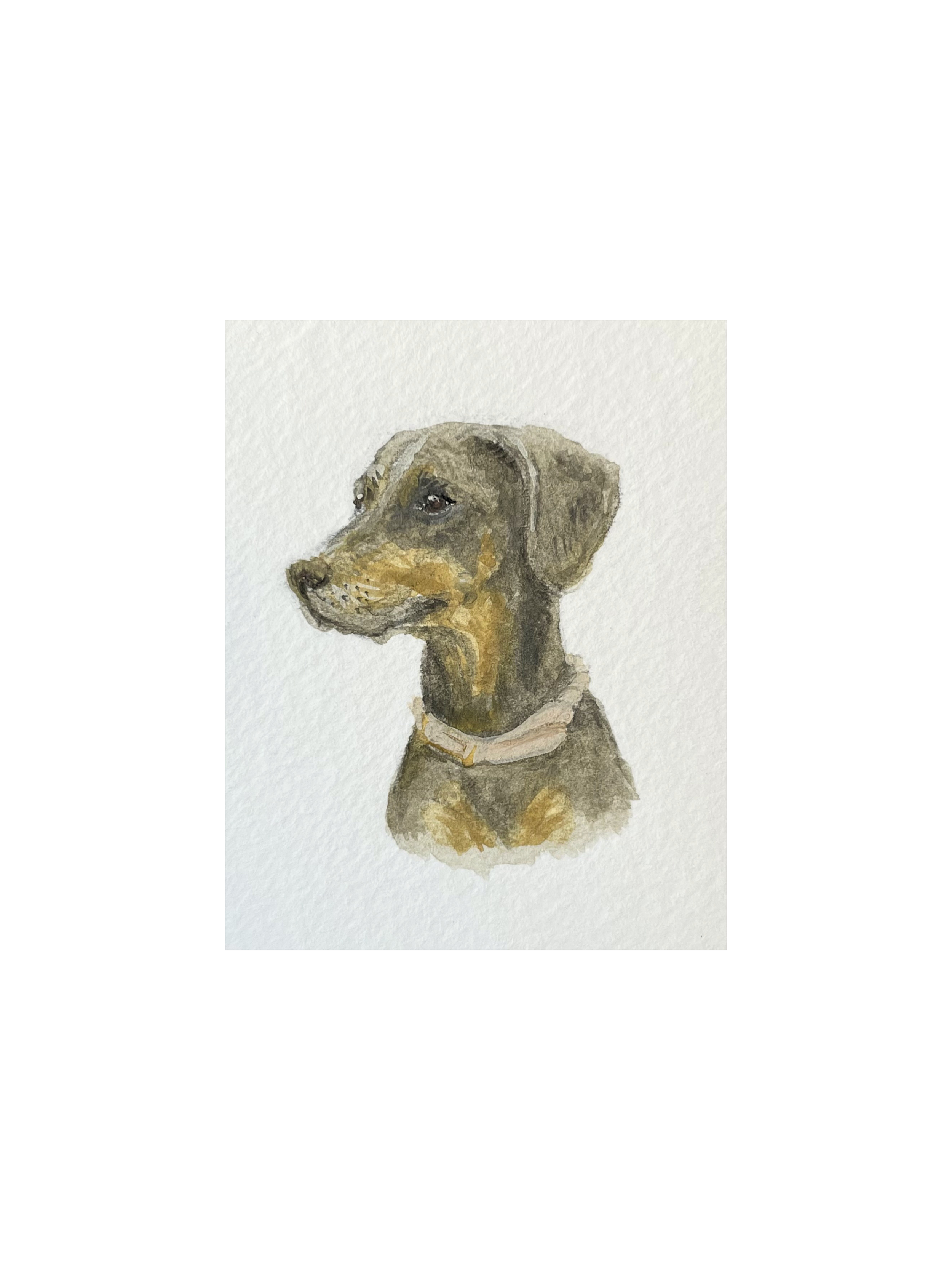 Custom Portrait