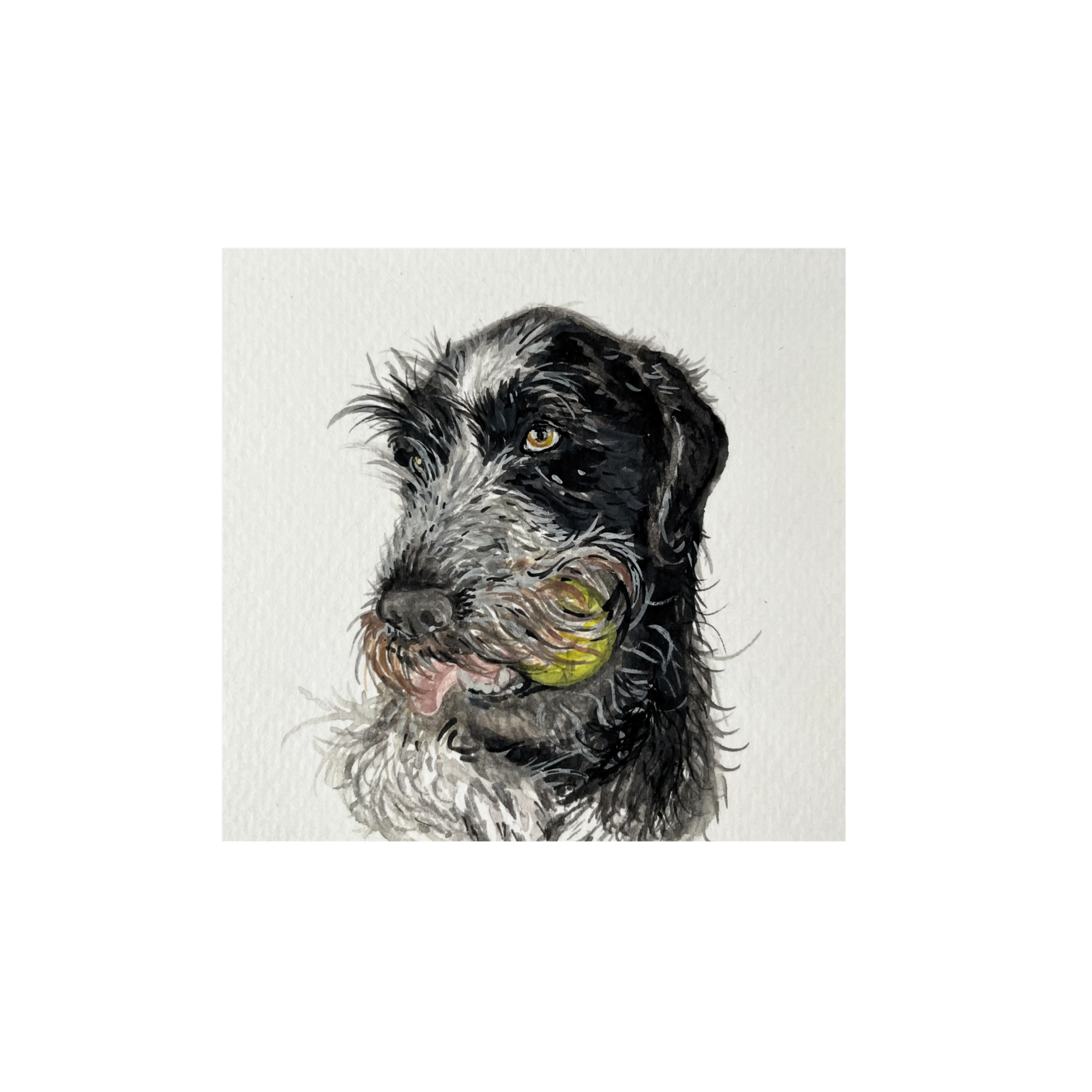 Untitled+design+%2814%29.png