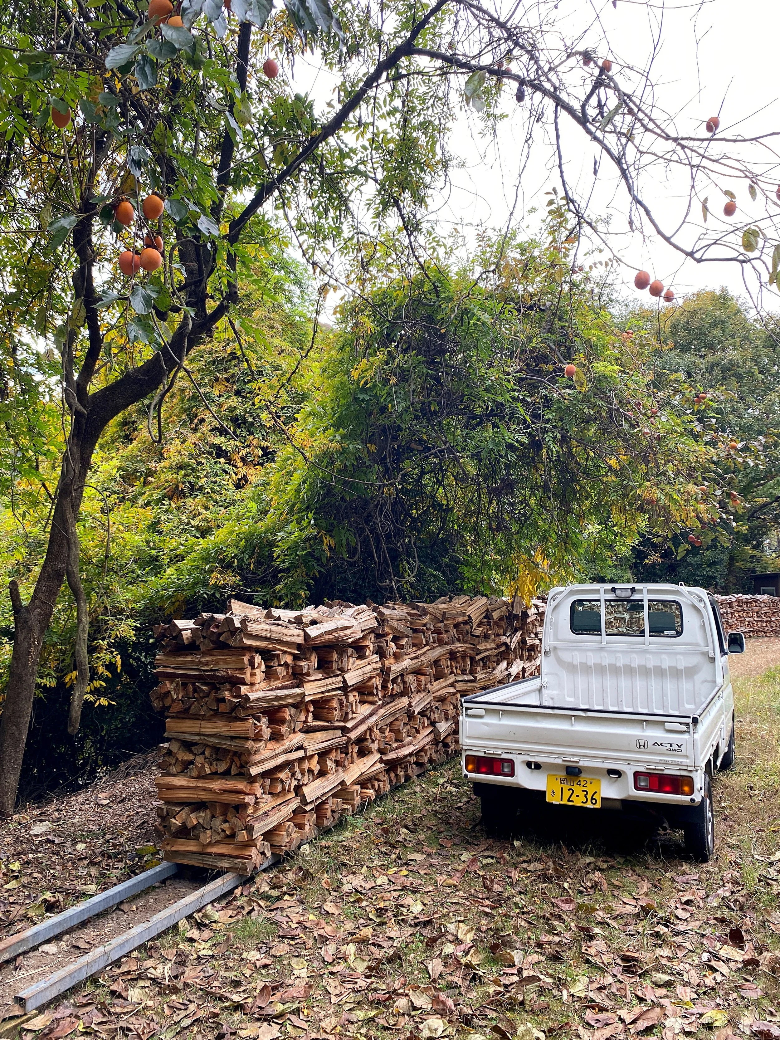 Collection site for firing wood.