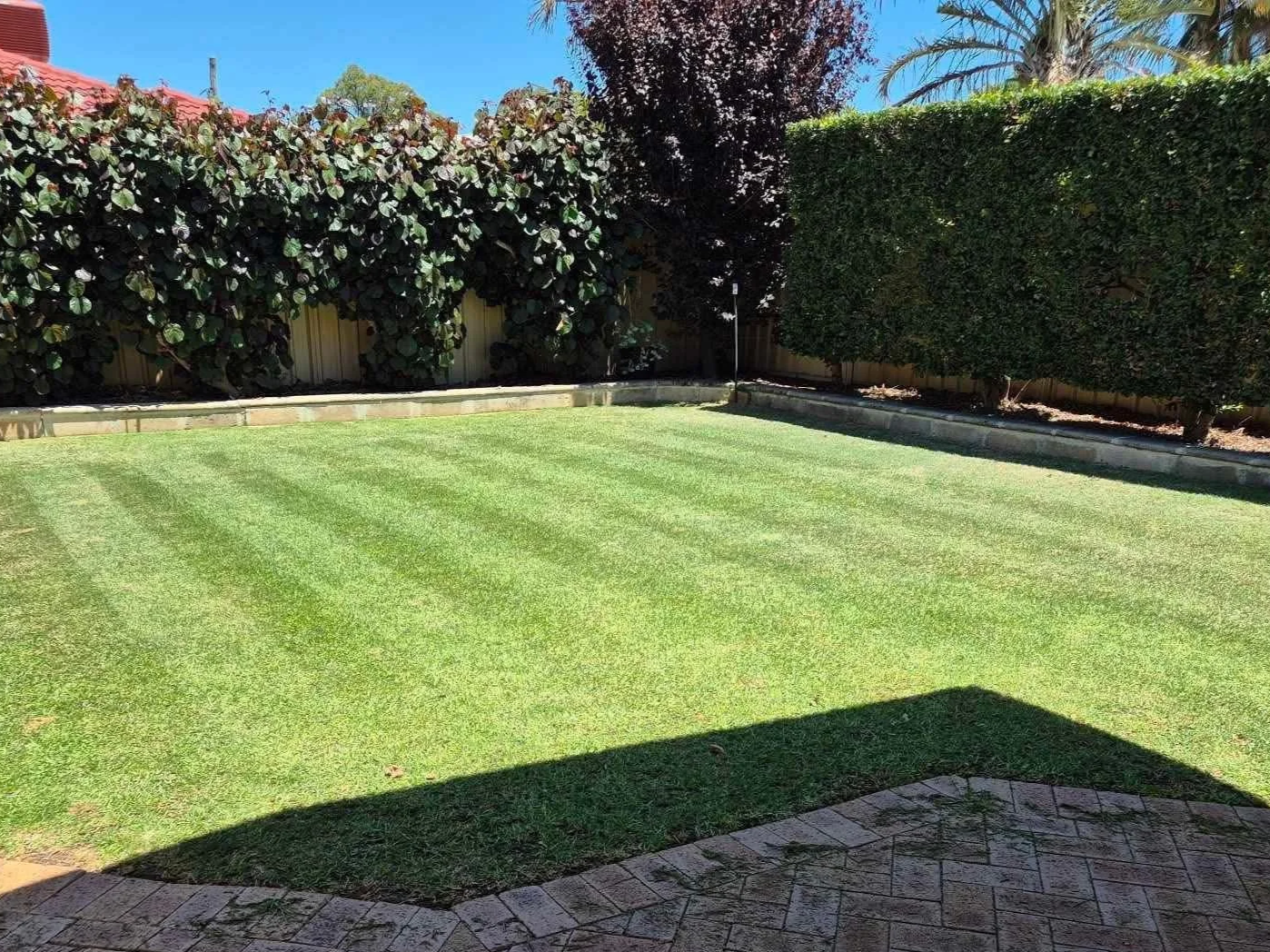 Tidy lawn and hedges in garden