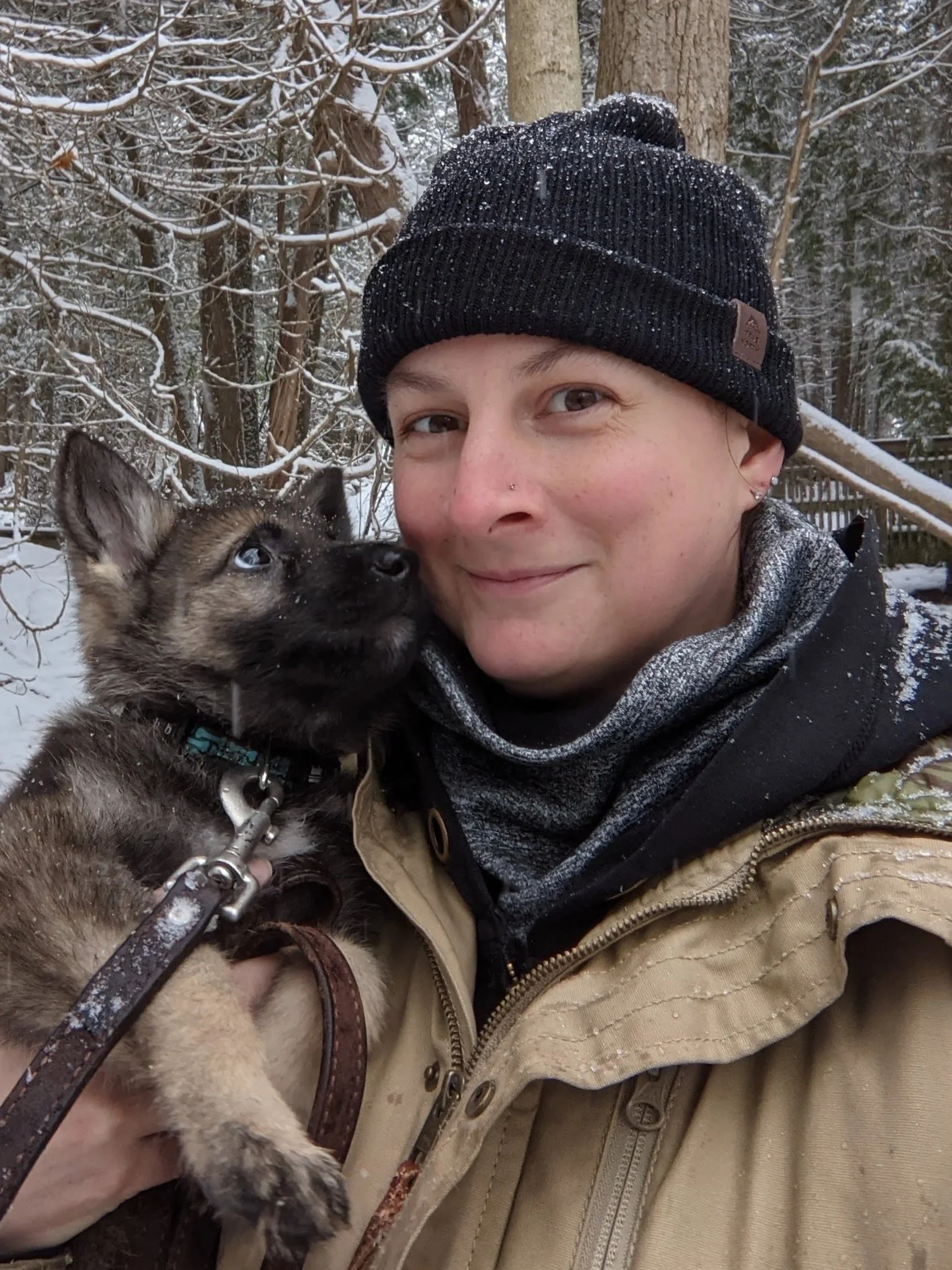 A person wearing a black winter beanie and tan jacket holding a small sable German shepherd puppy in a snowy outdoor setting.