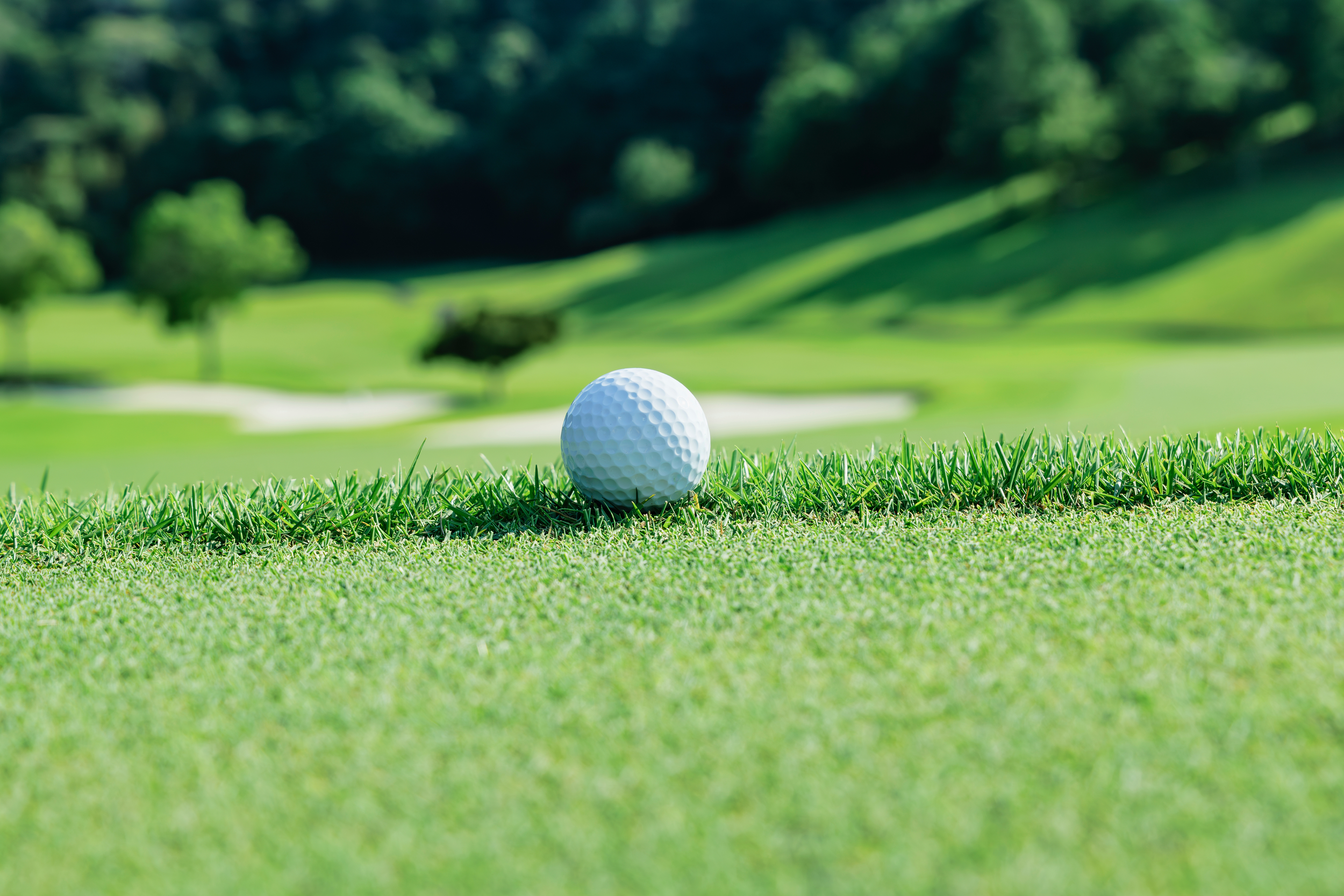 A close-up view of a white golf ball resting on lush green grass at a golf course with a blurred background of trees and landscape.