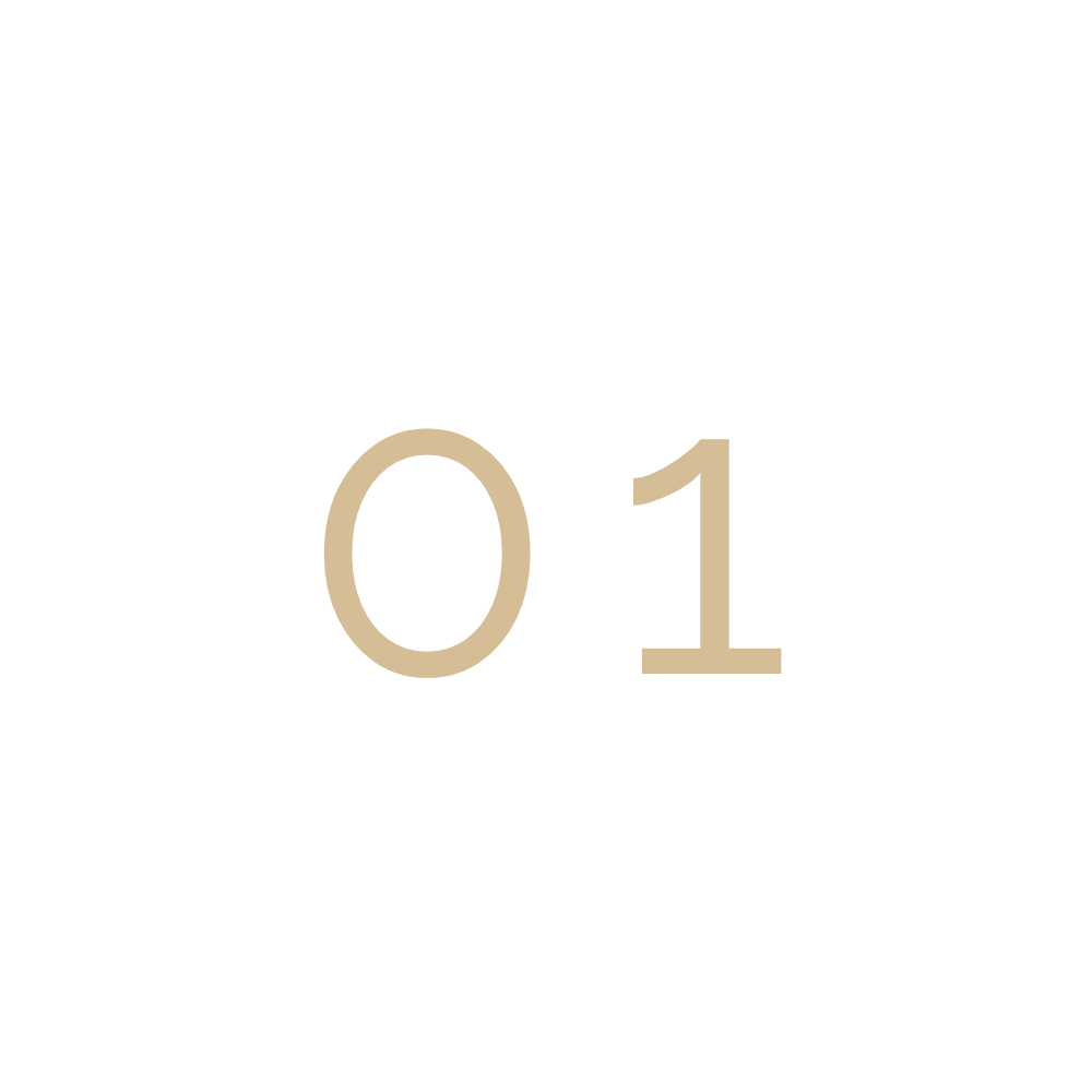 Number 01 on a black background with beige text.