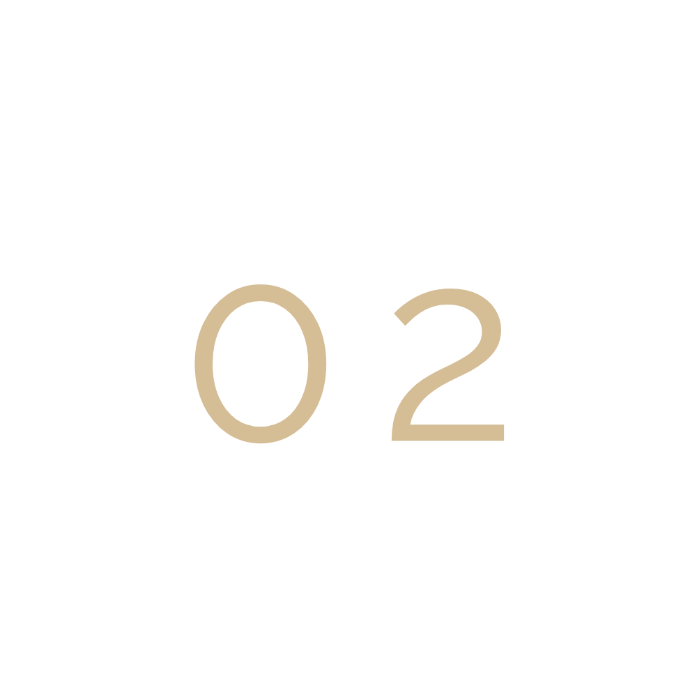 The image shows the number '02' in beige color inside a black background, with a faint circular outline around it.
