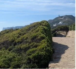 Sea Walk_Best.JPG