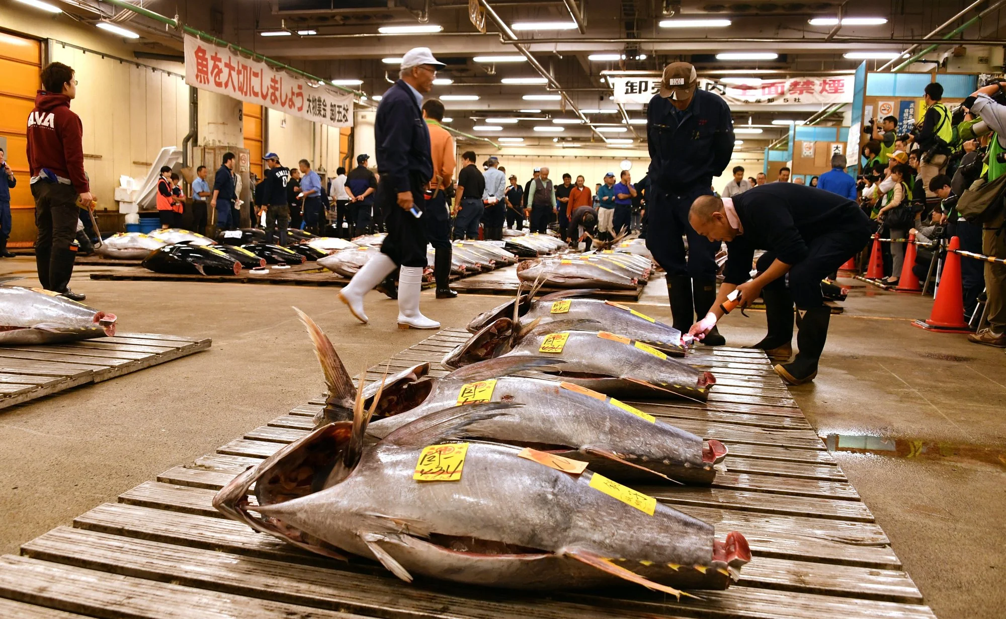 Why do Prices Change? Supply, Demand and the Fulton Fish Market