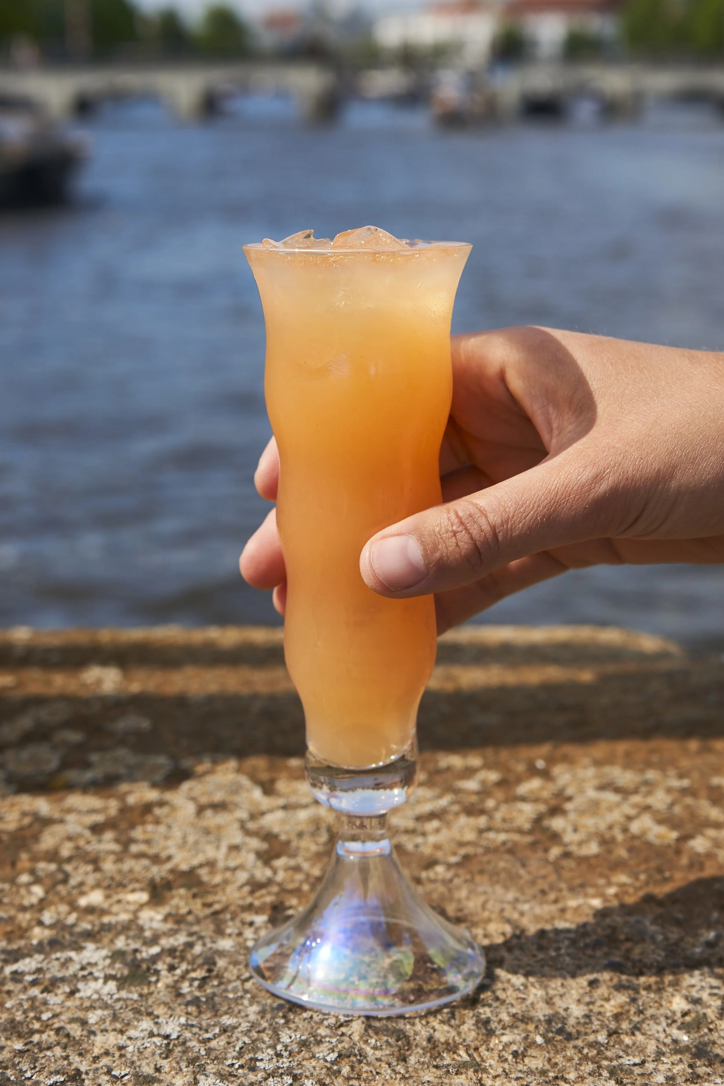 BBQ paloma 3.jpeg