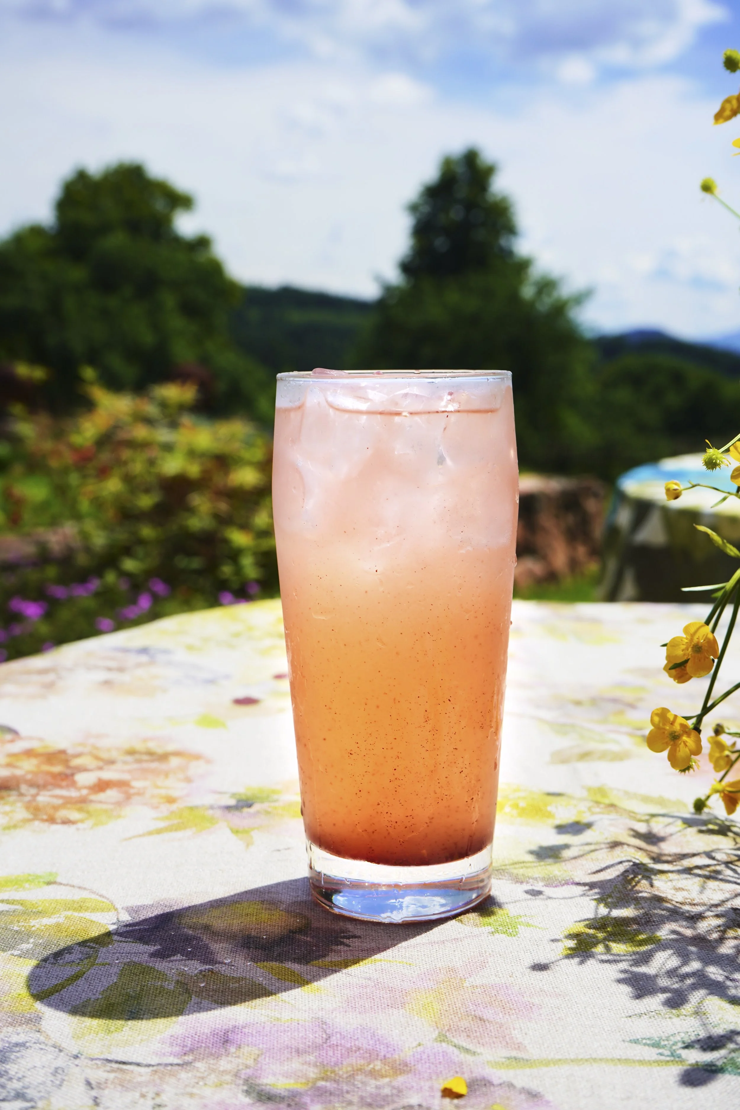 Gezouten sumaklimonade.jpeg