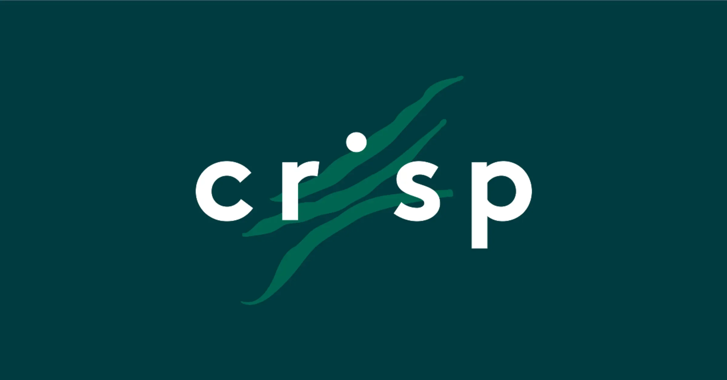 crisp logo.webp