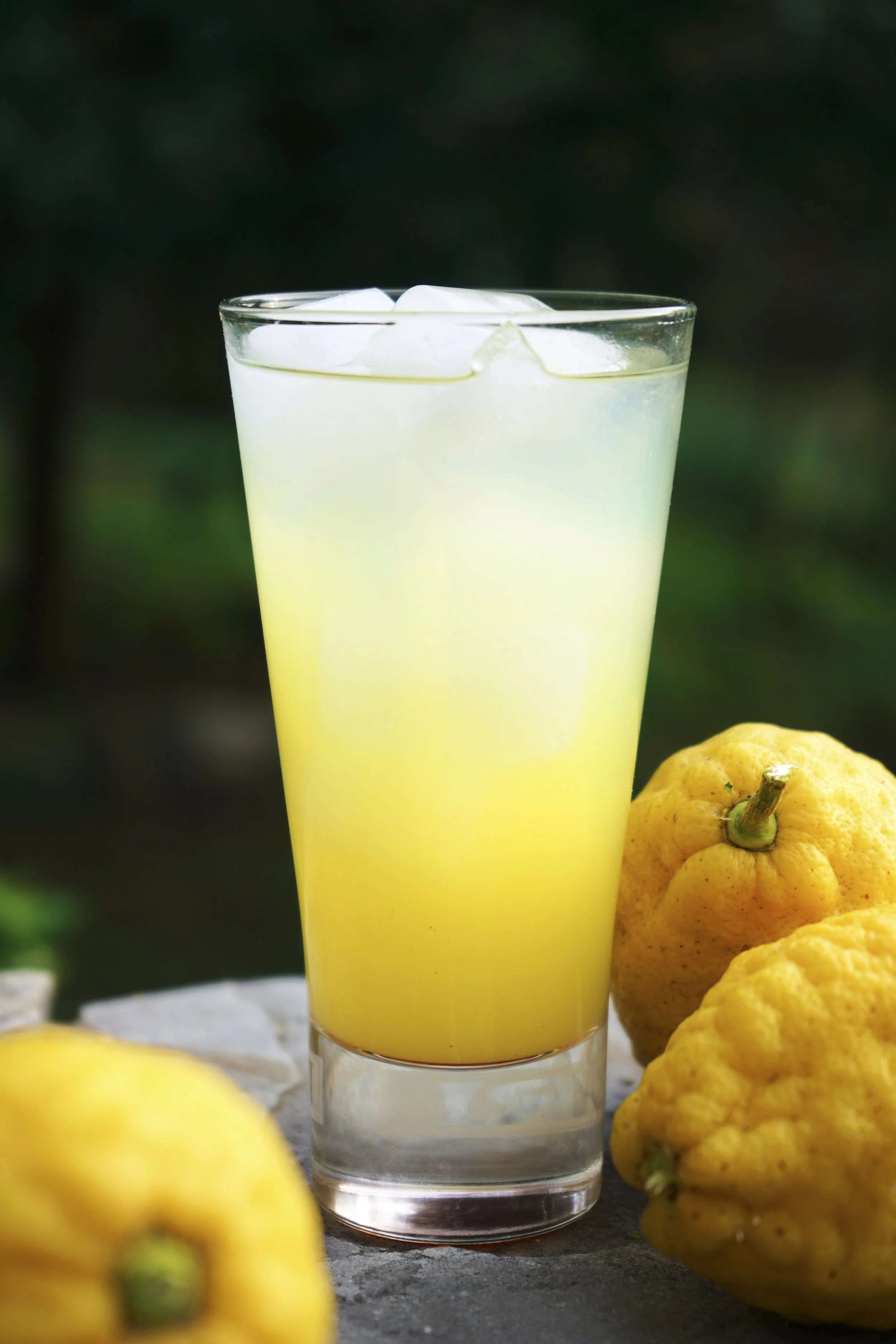 Citronade 4.jpeg